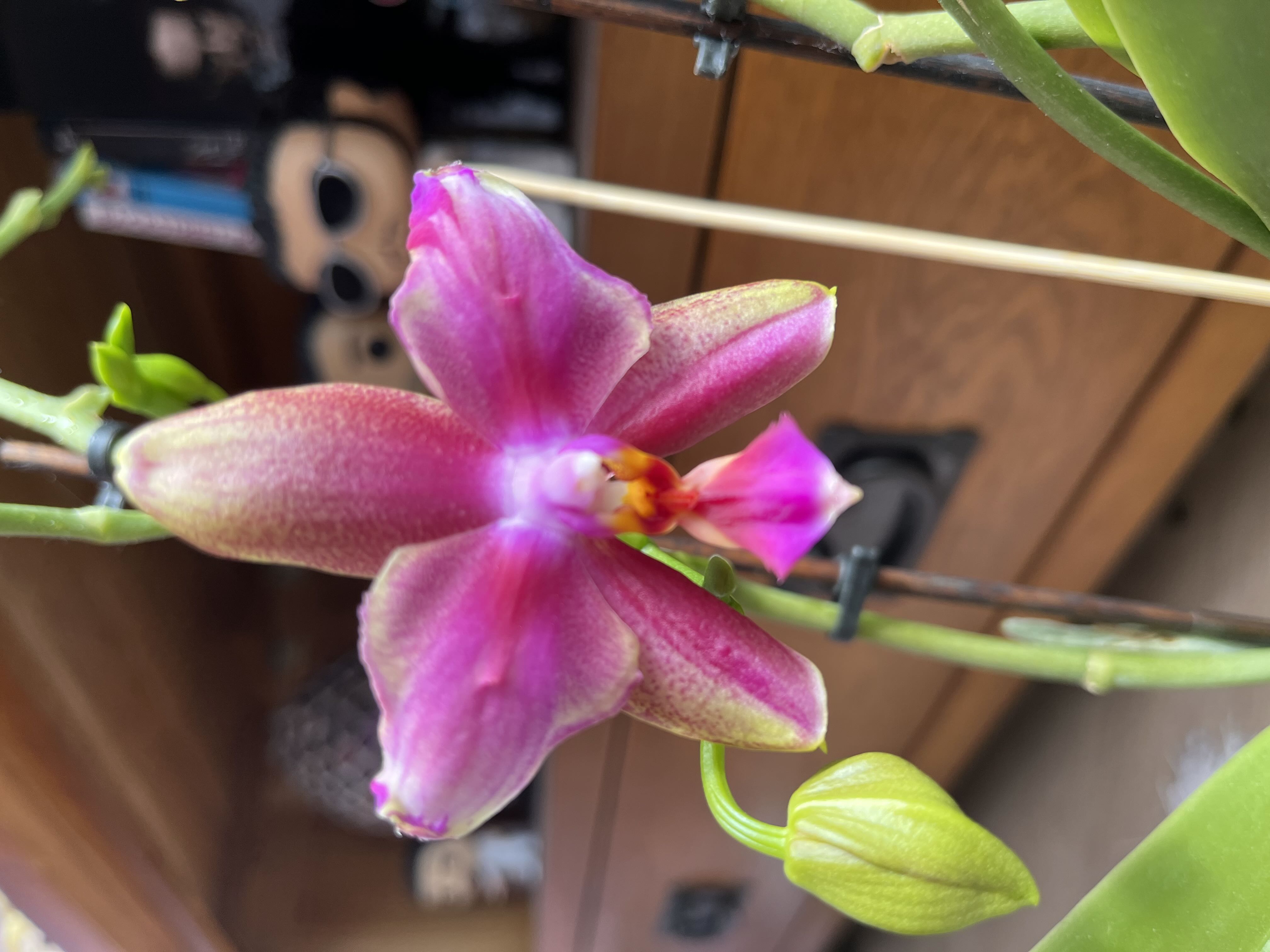 Photo from the post