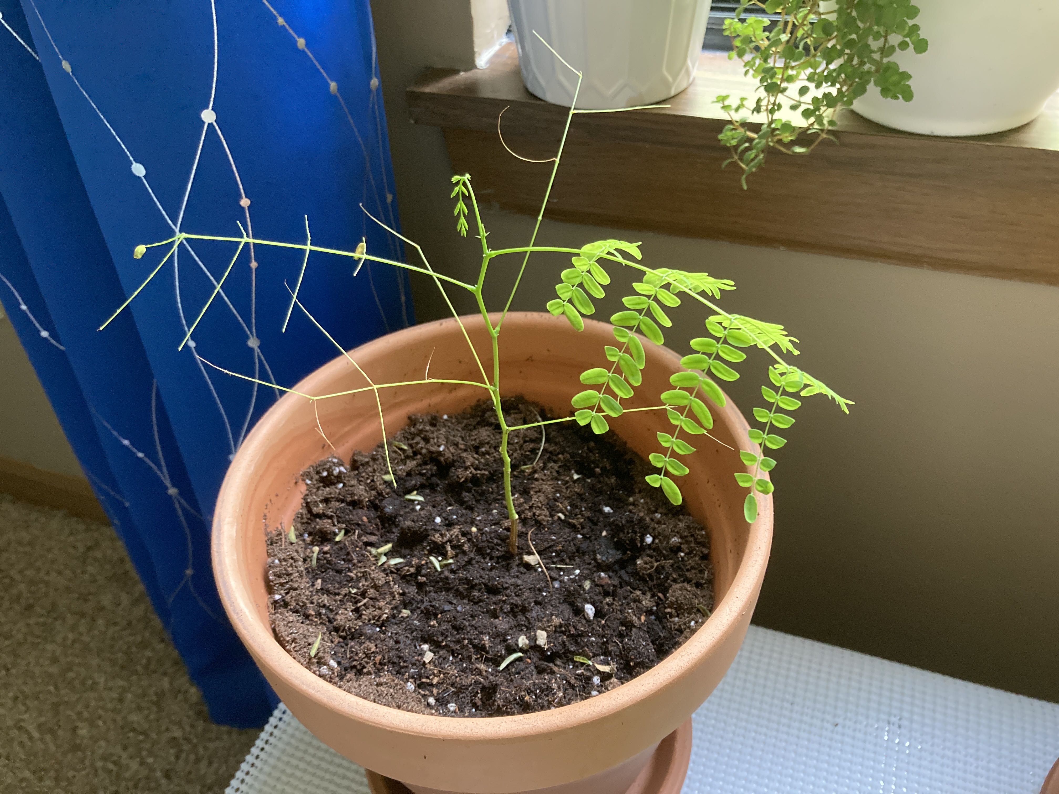 Photo from the post