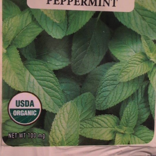 Photo of the plant species Peppermint by @ZenGarden16 named Harmony on Greg, the plant care app