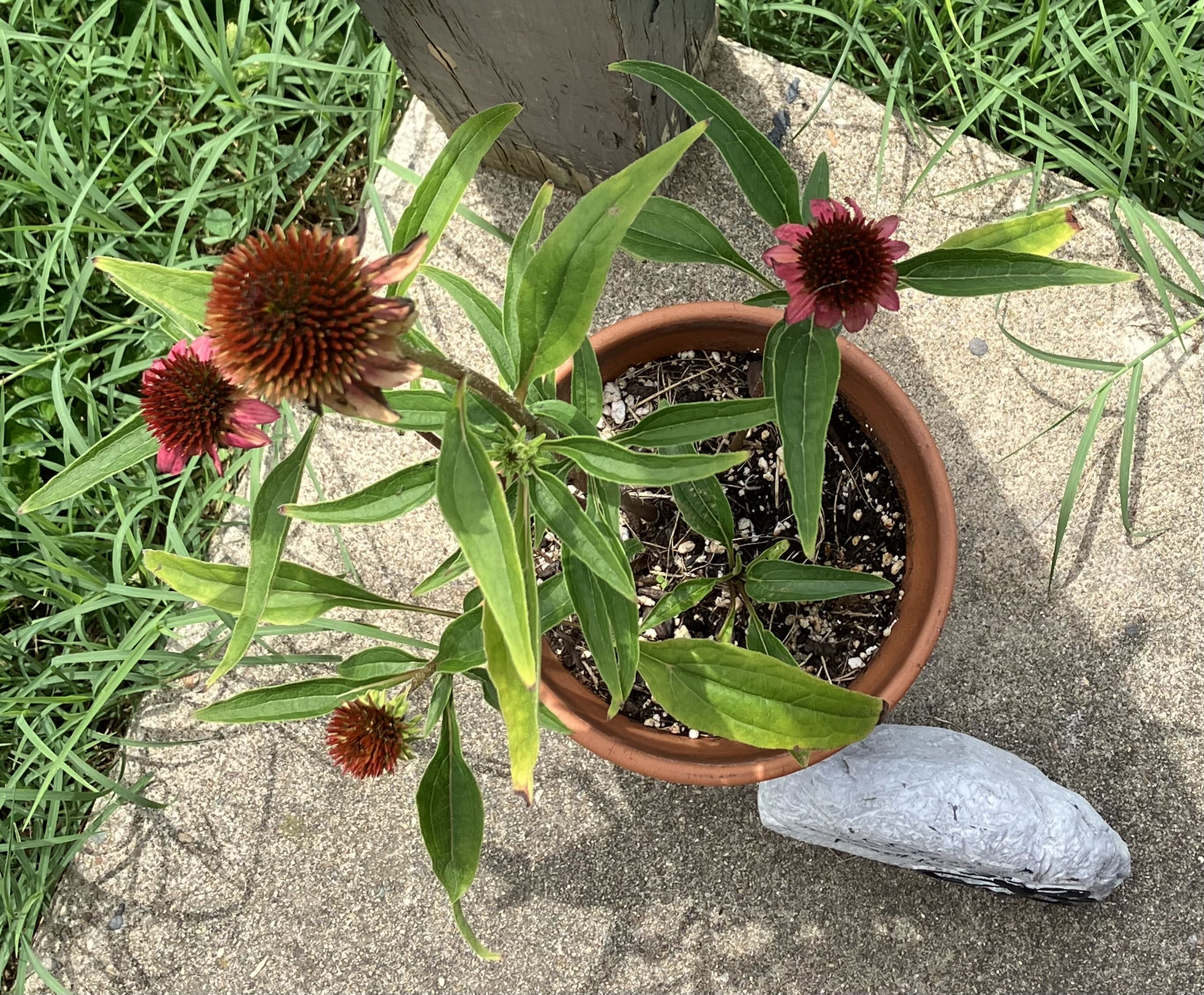 Photo from the post