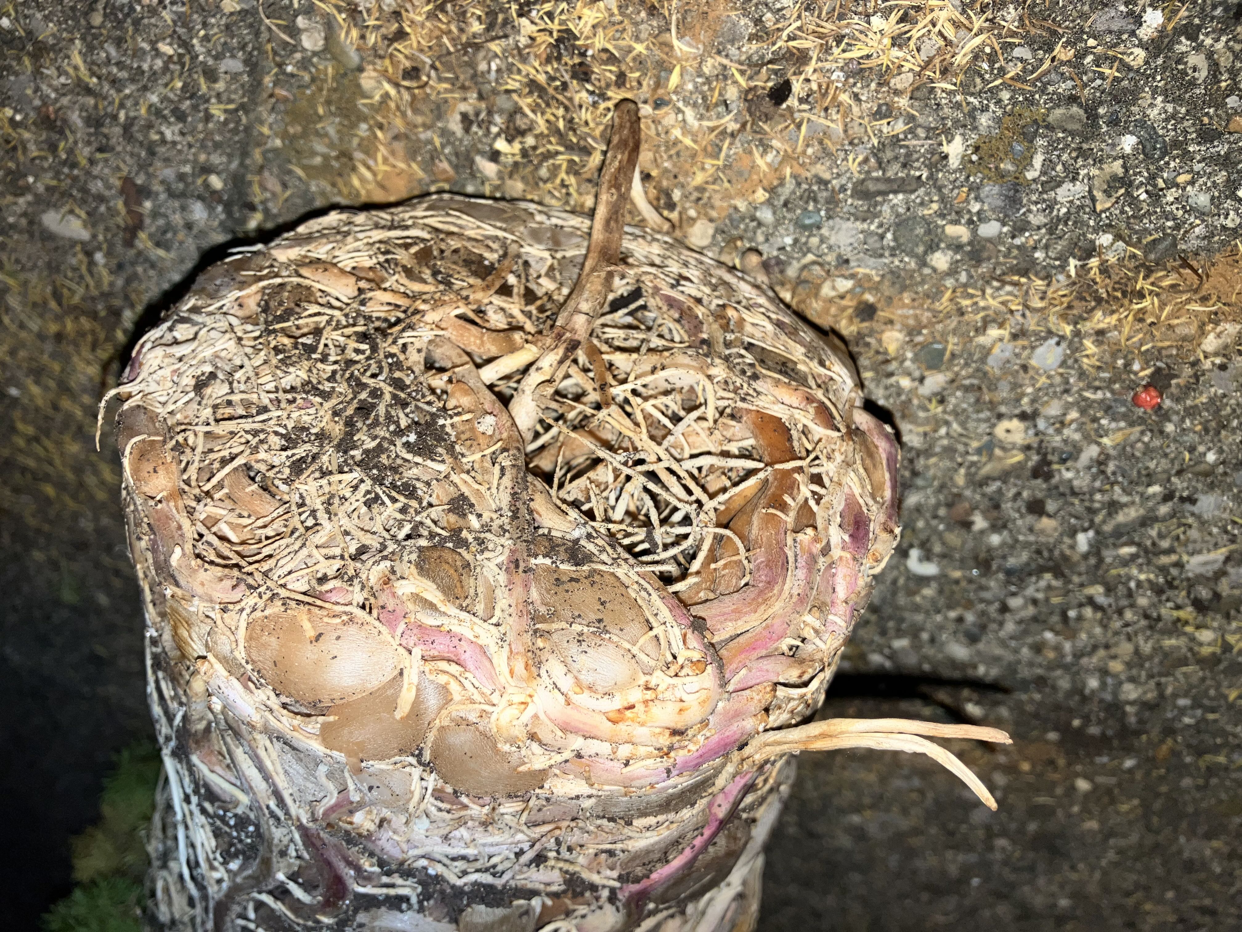 Photo from the post
