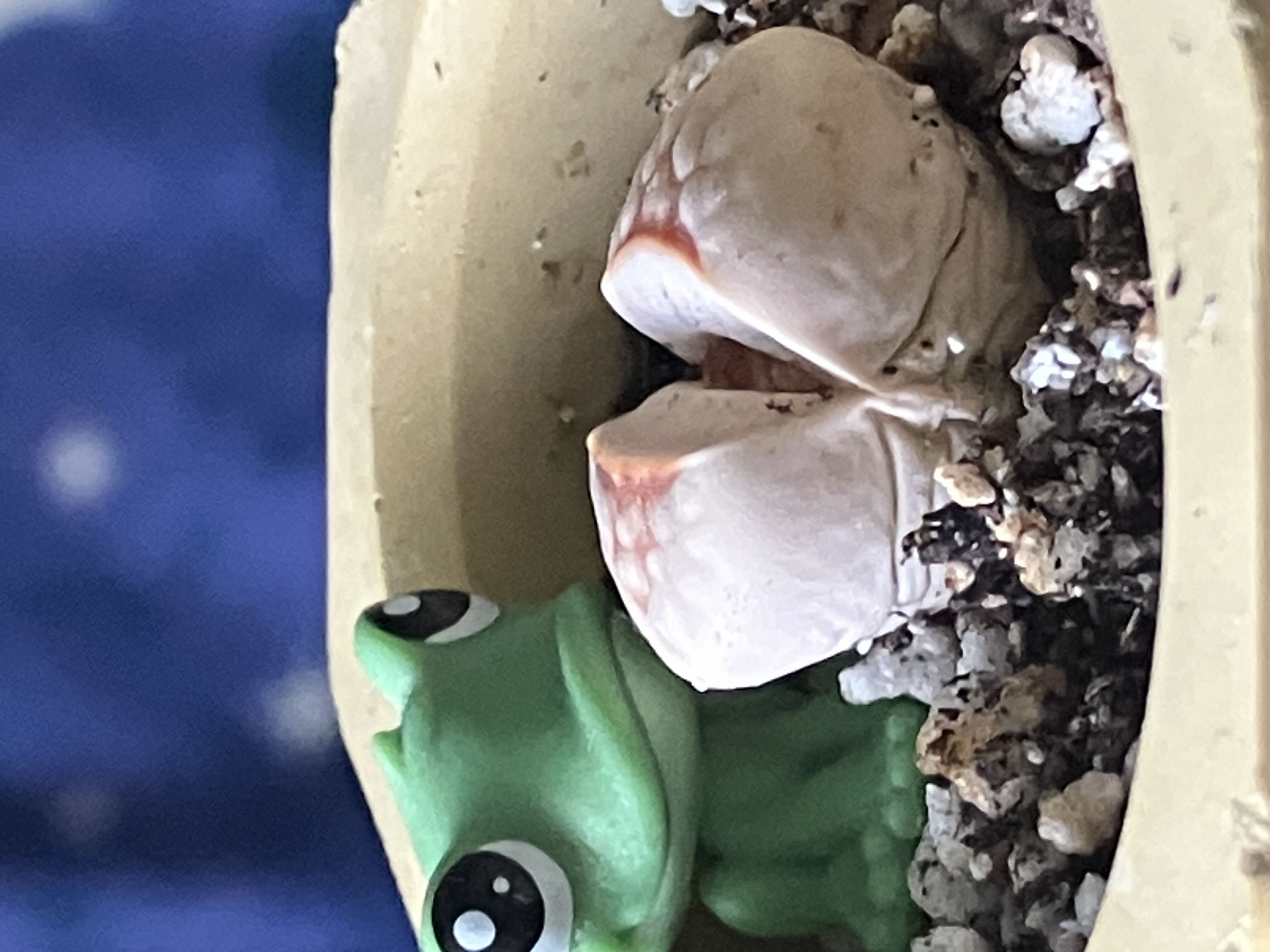 Photo from the post