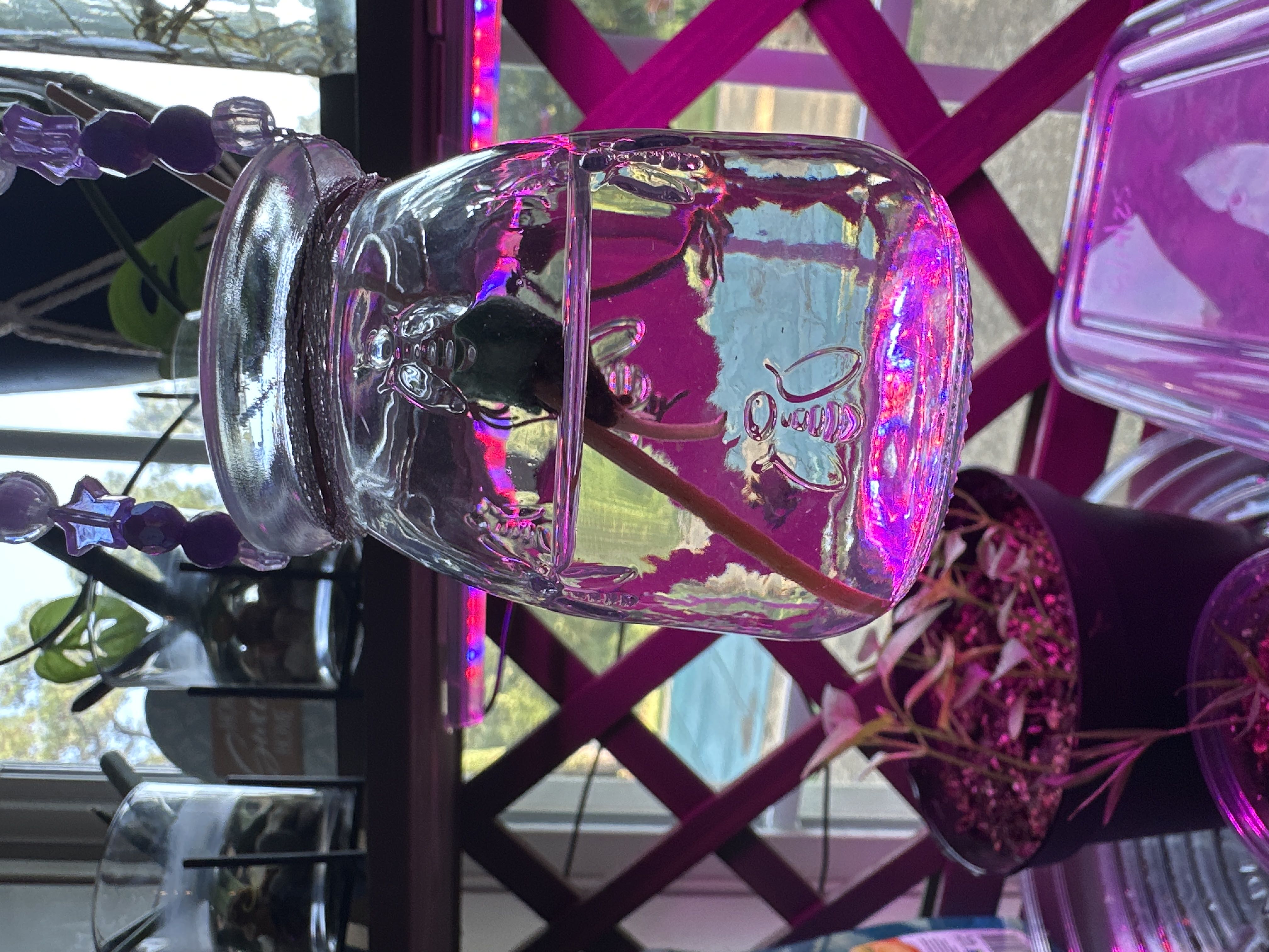 Photo from the post