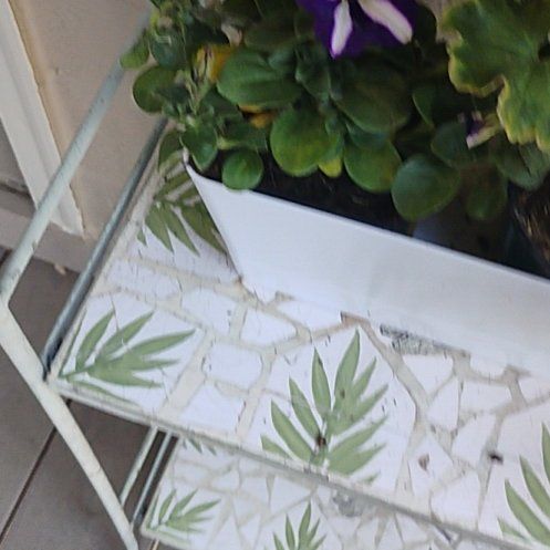 Photo of the plant species Easy Wave Petunias by @EminentPomelo named Anne on Greg, the plant care app