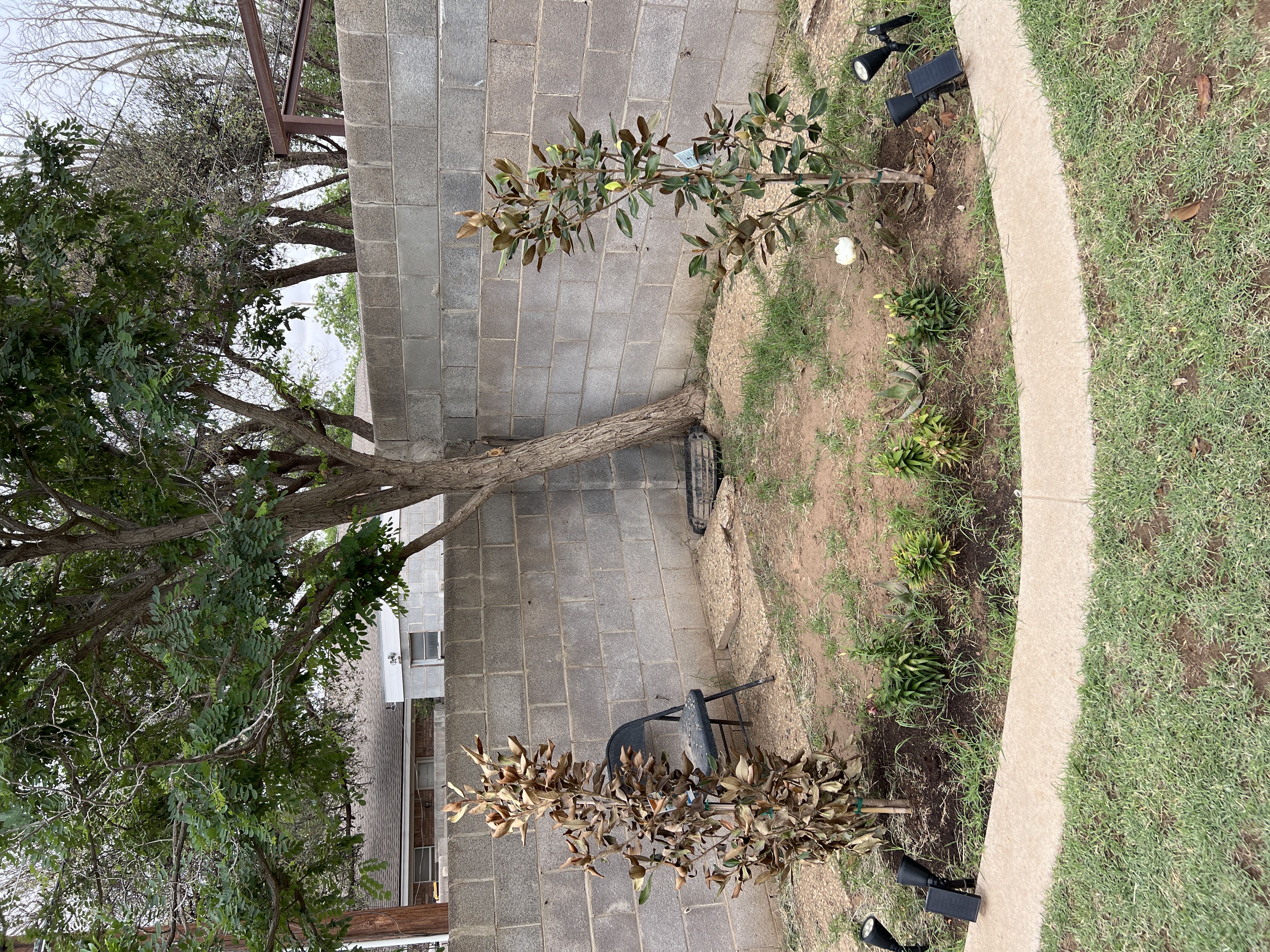 Photo from the post