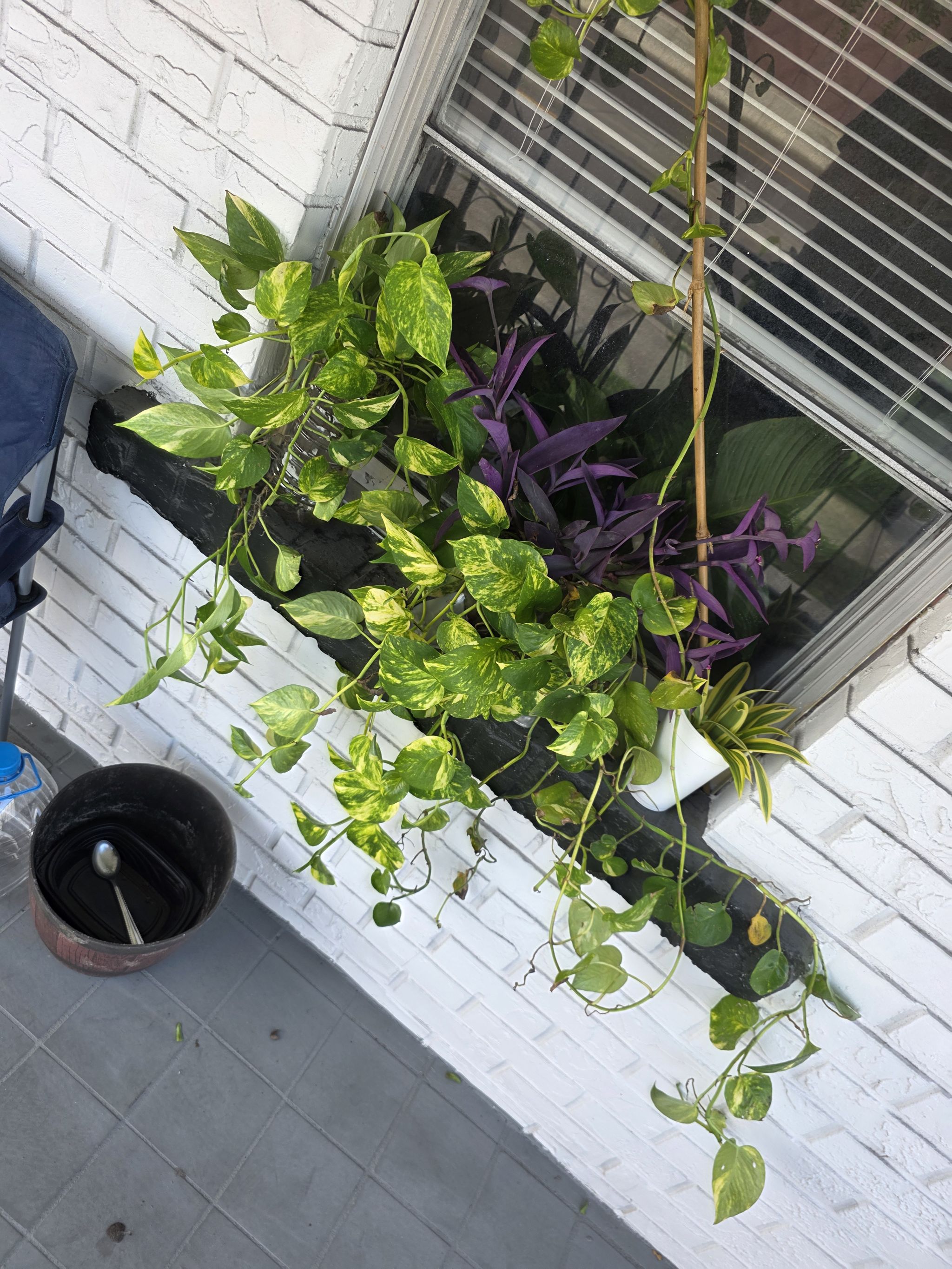 Photo from the post