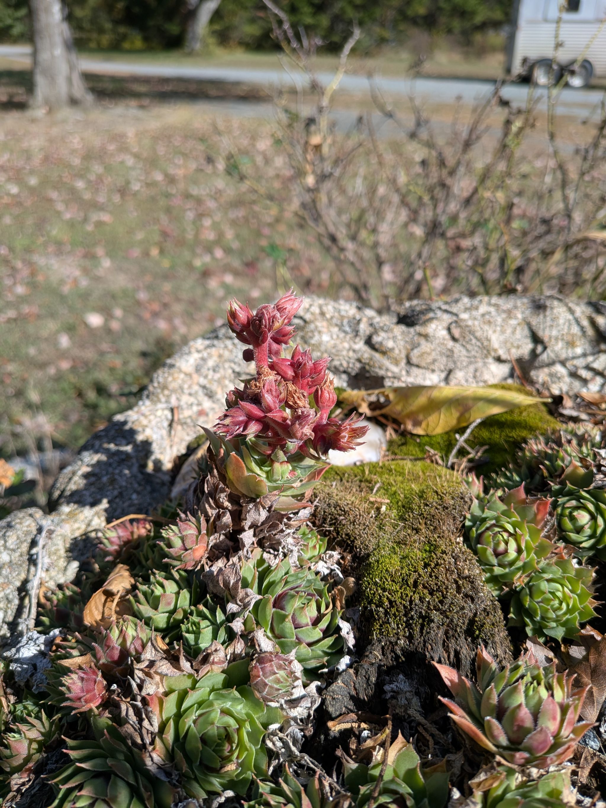 Photo from the post