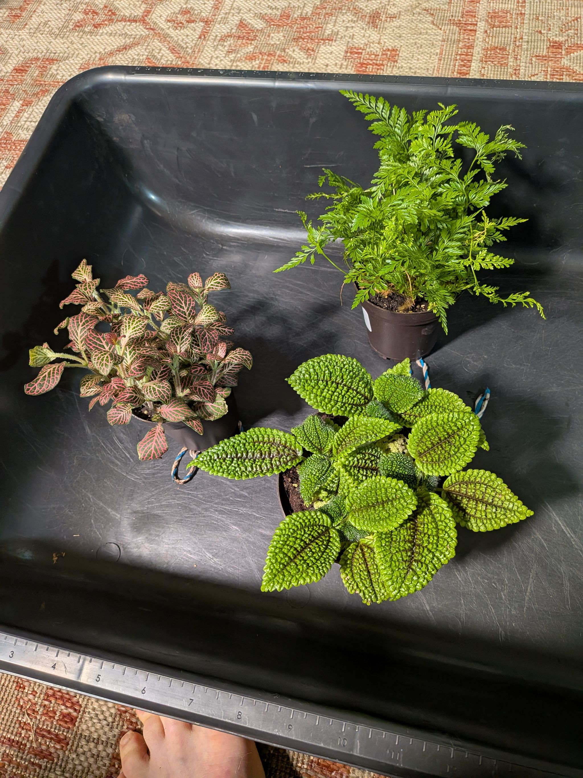 Photo from the post