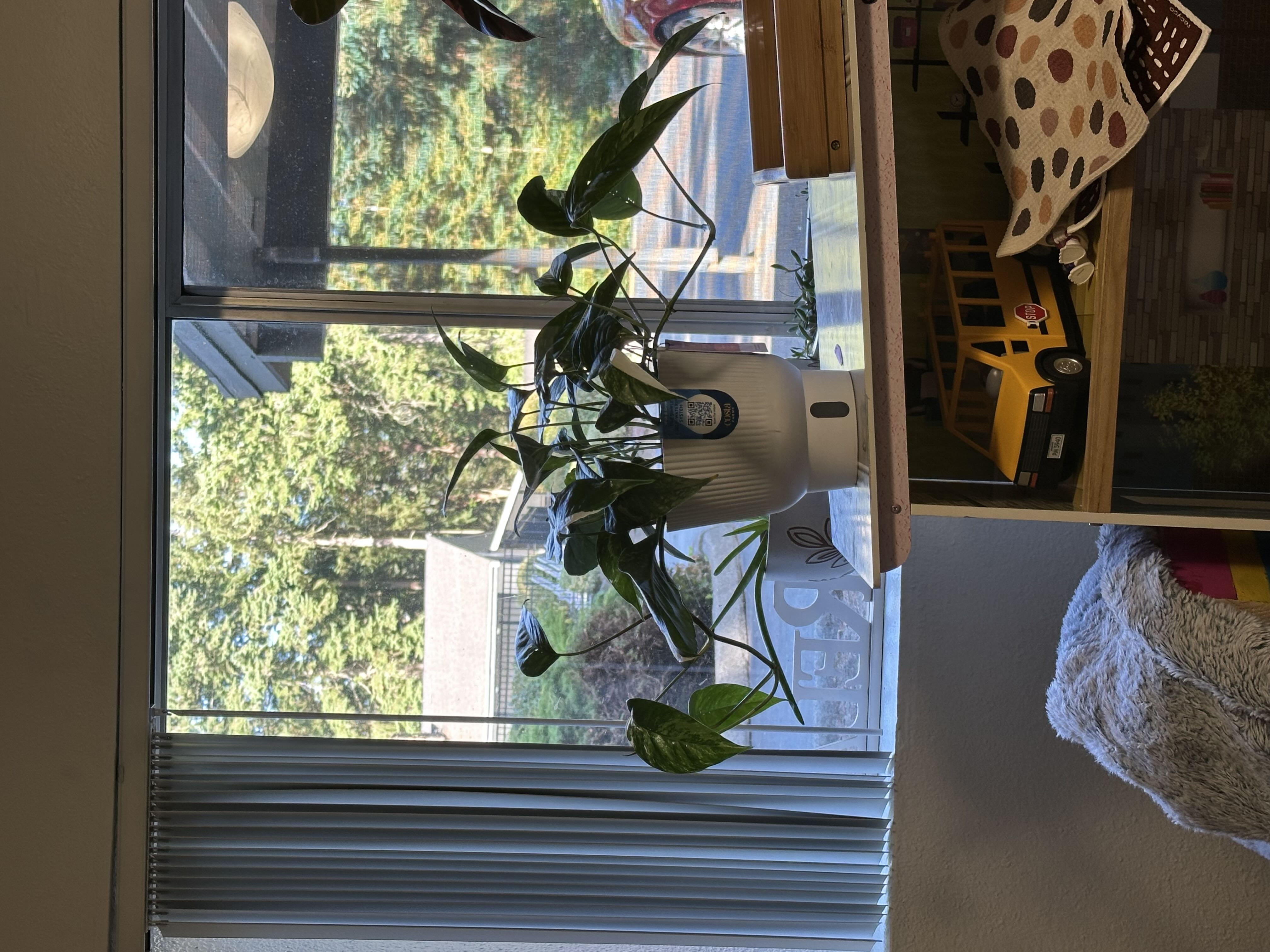 Photo from the post