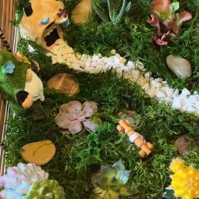 Photo of the plant species American Pondweed by @JazzyEvergreen named Sol on Greg, the plant care app