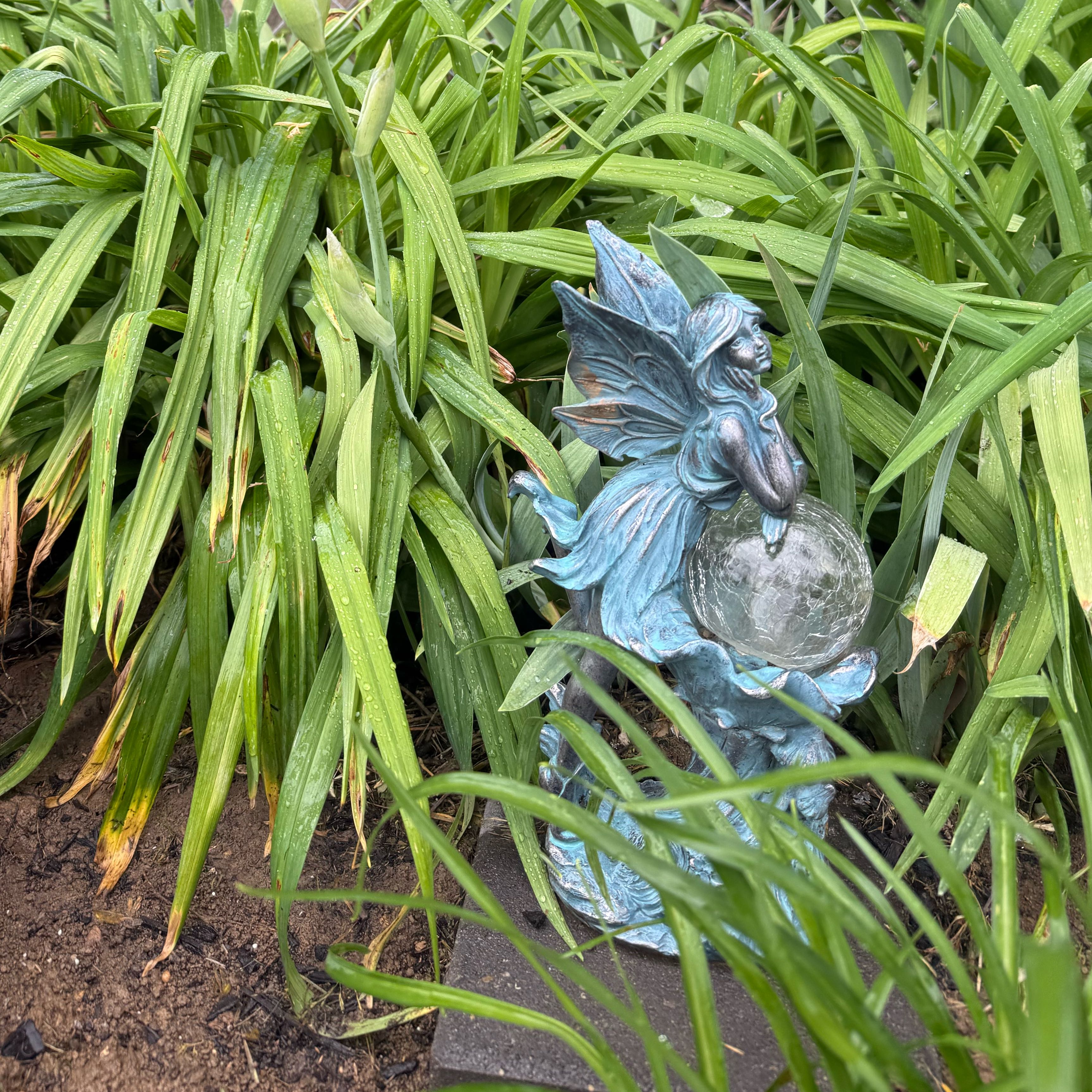 Photo of the plant species Agapanthus 'Mystery' by @RuggedEndive47 named Sir Plancelot on Greg, the plant care app