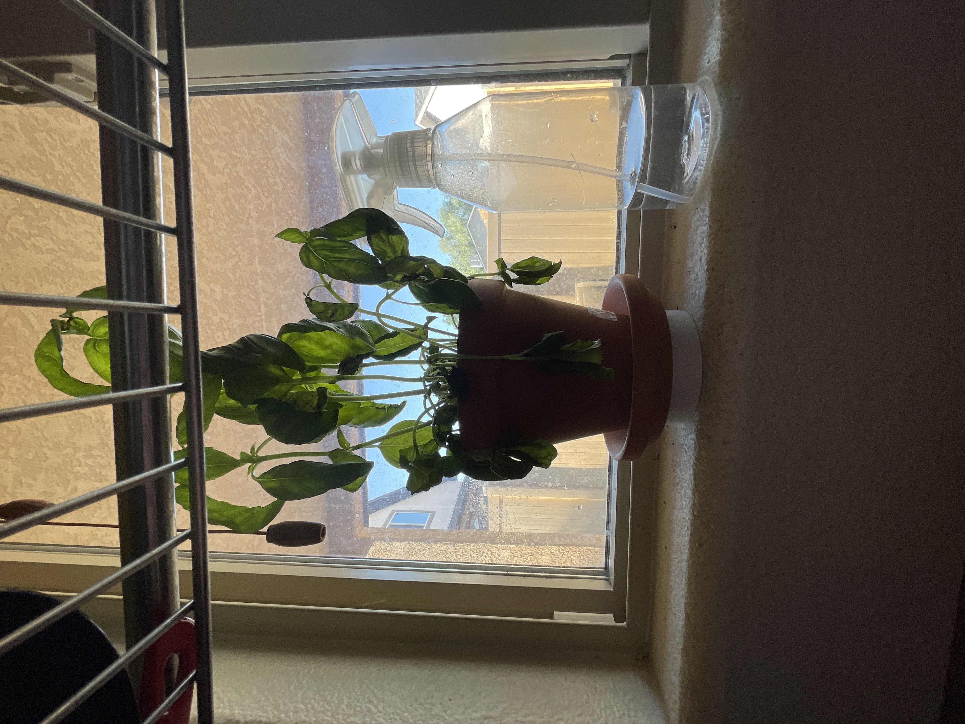 Photo from the post