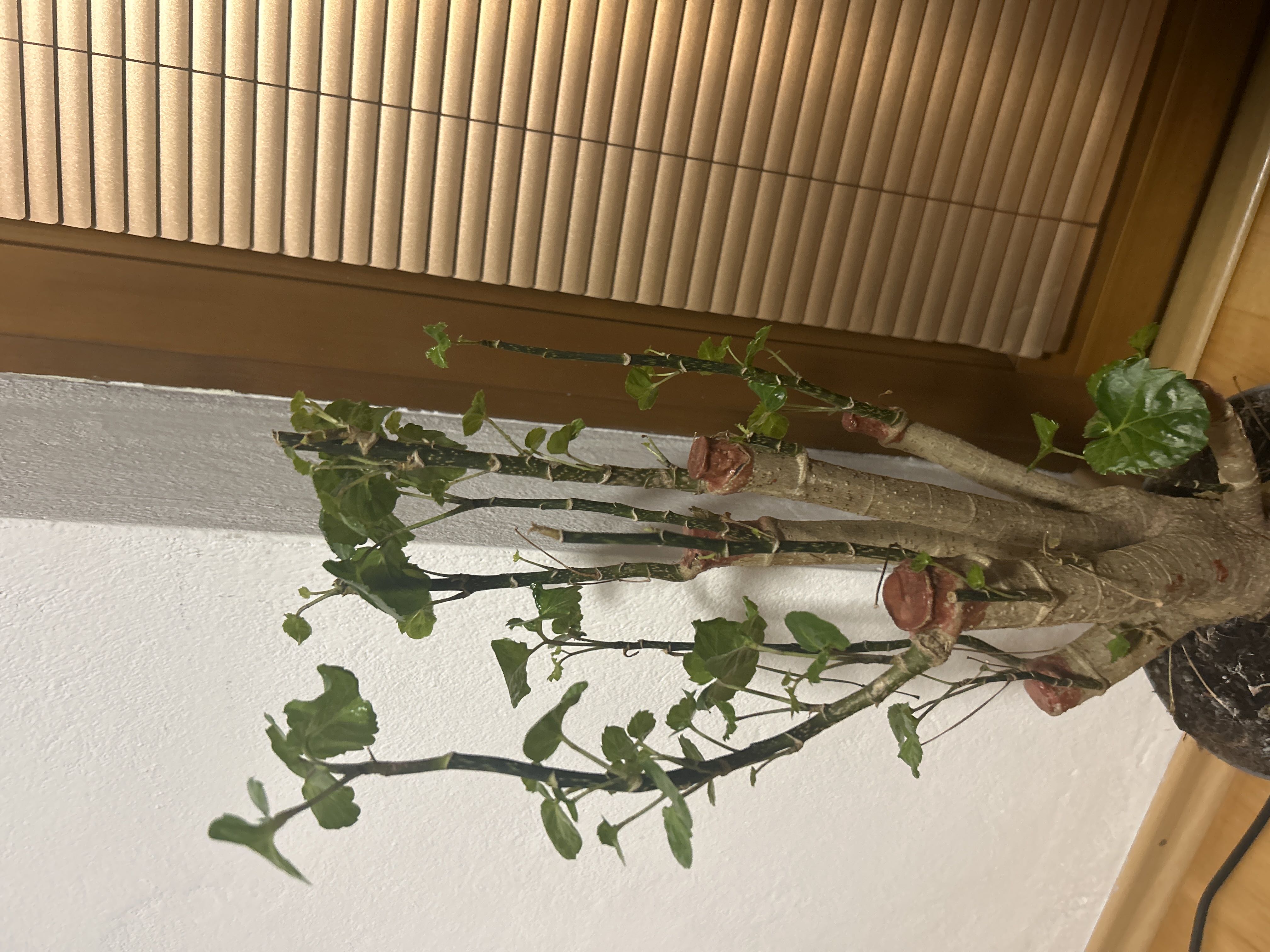 Photo from the post