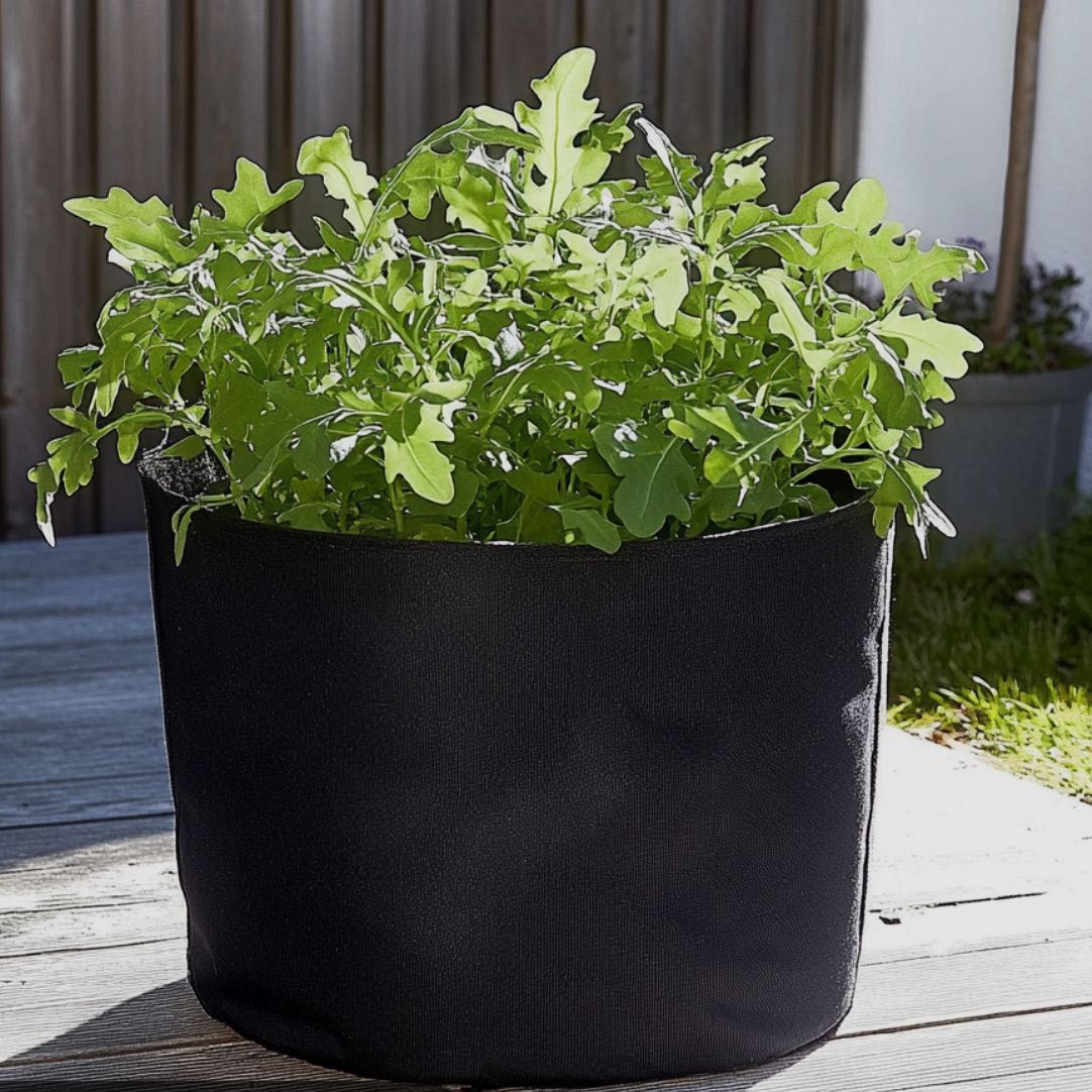 Plant care for Green Okra on Greg, the plant care app