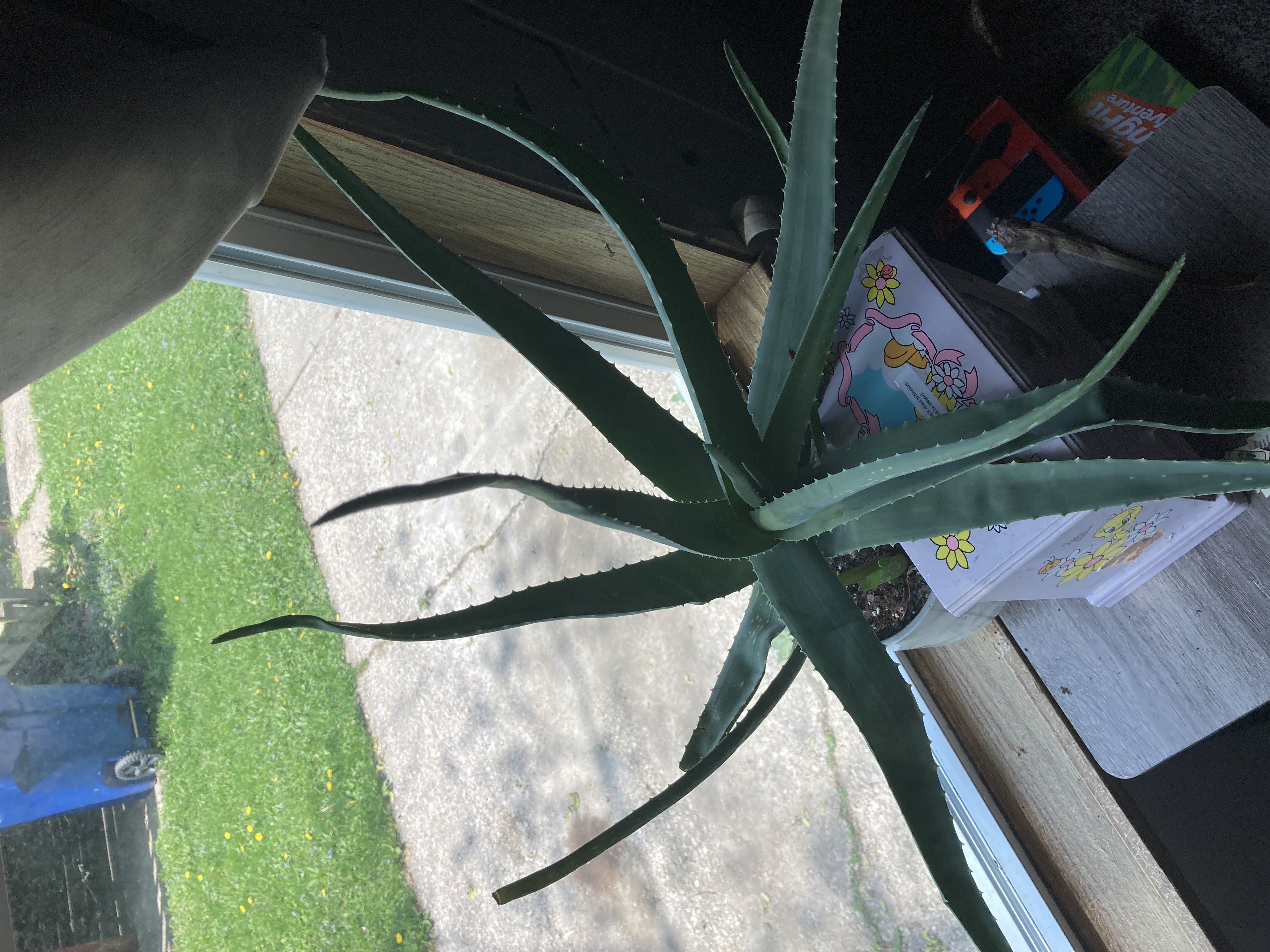 Photo from the post