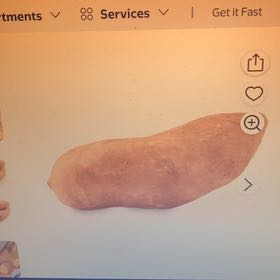 Photo of the plant species Carolina Ruby Sweet Potato by @BestGutweed24 named Anne on Greg, the plant care app