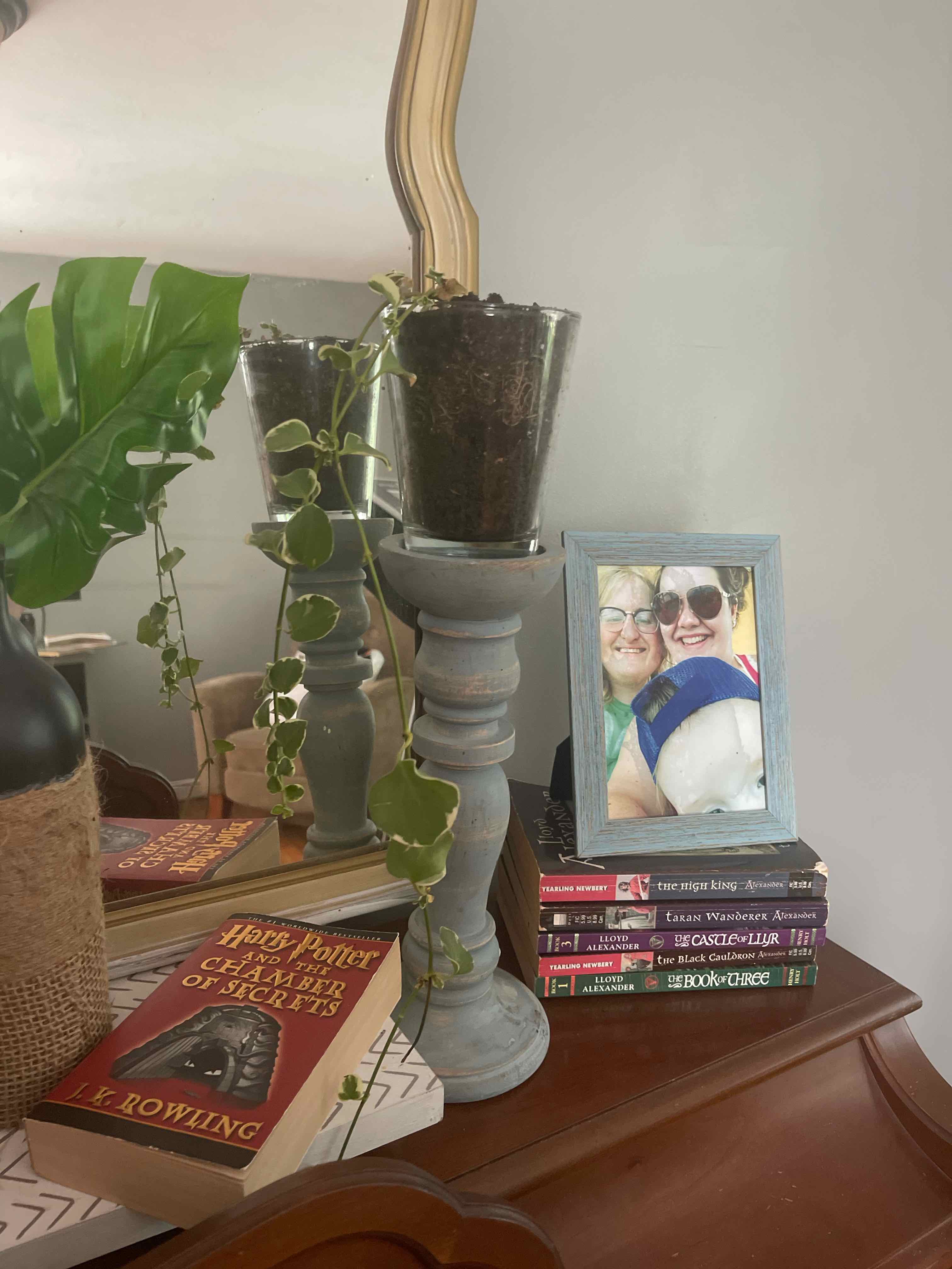 Plant care for Peperomia on Greg, the plant care app