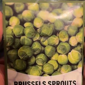 Photo of the plant species Brussel Sprout by @AdonicMexico37 named Stella on Greg, the plant care app
