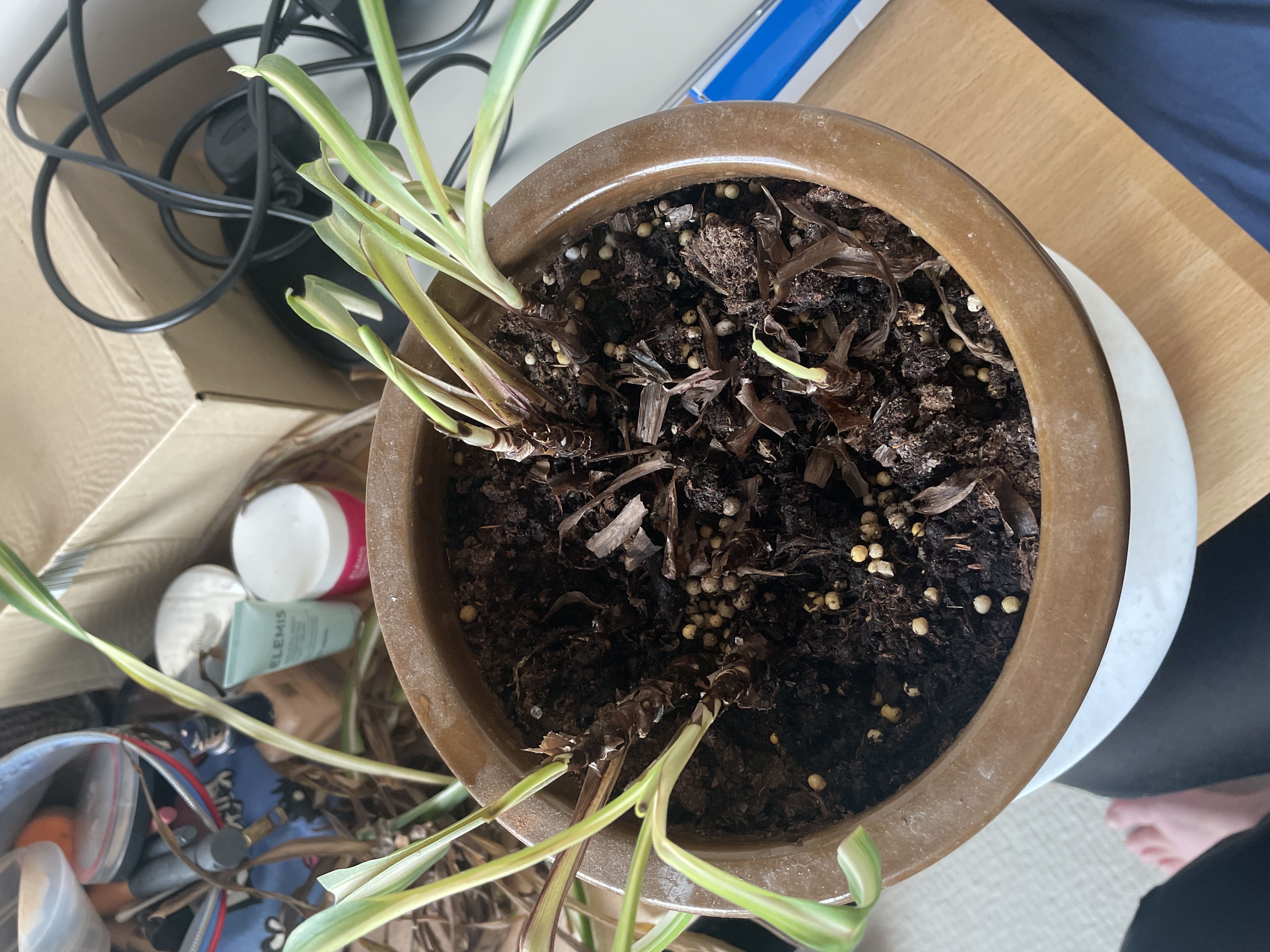 Photo from the post