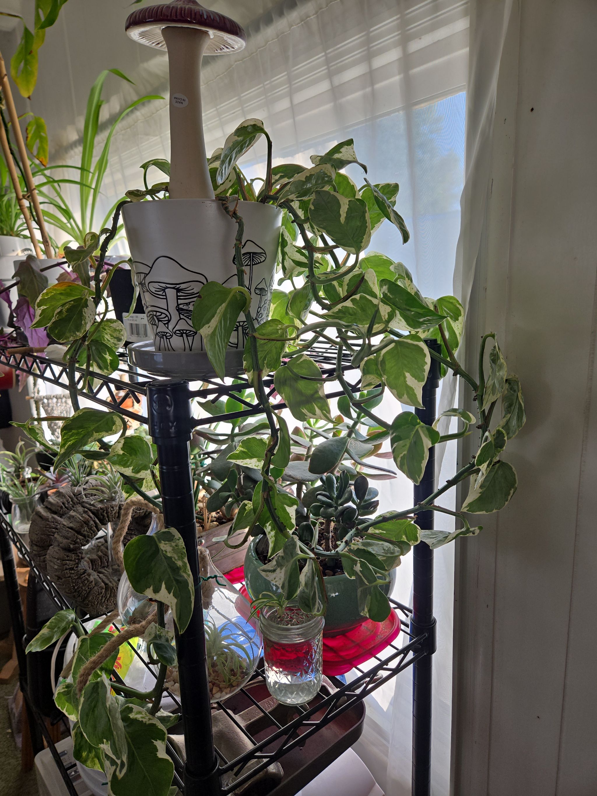 Photo from the post