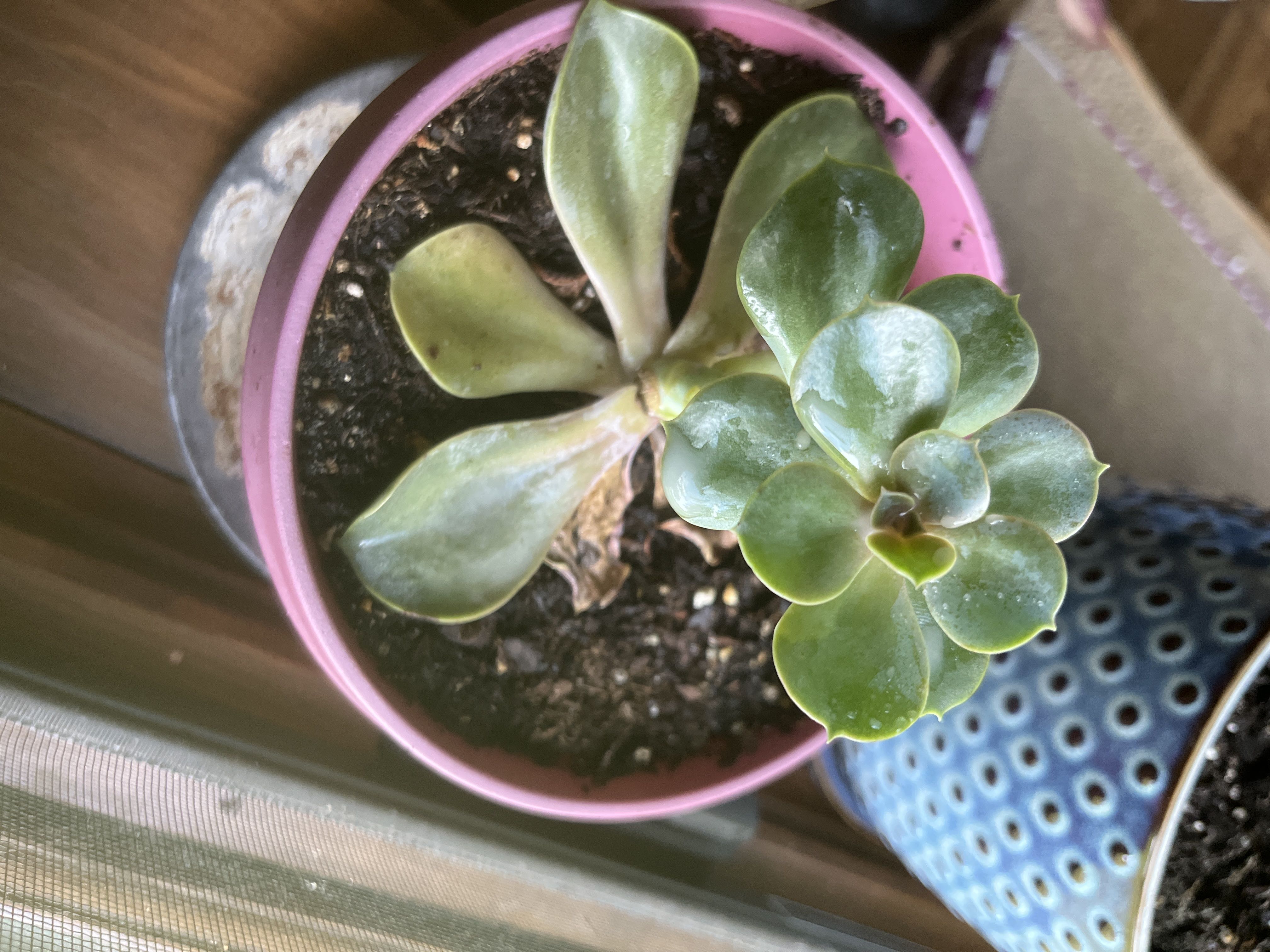 Photo from the post