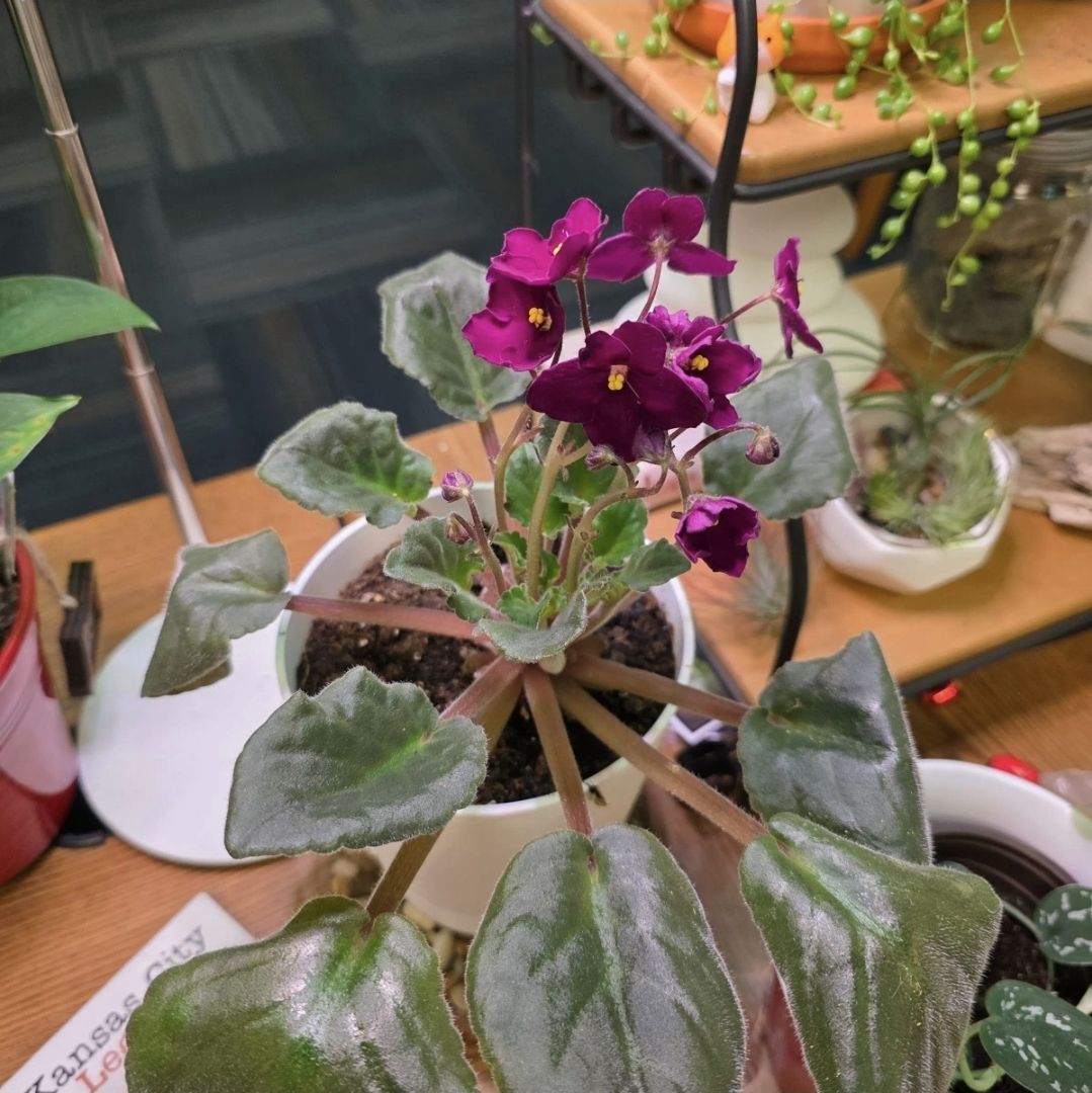 Photo from the post