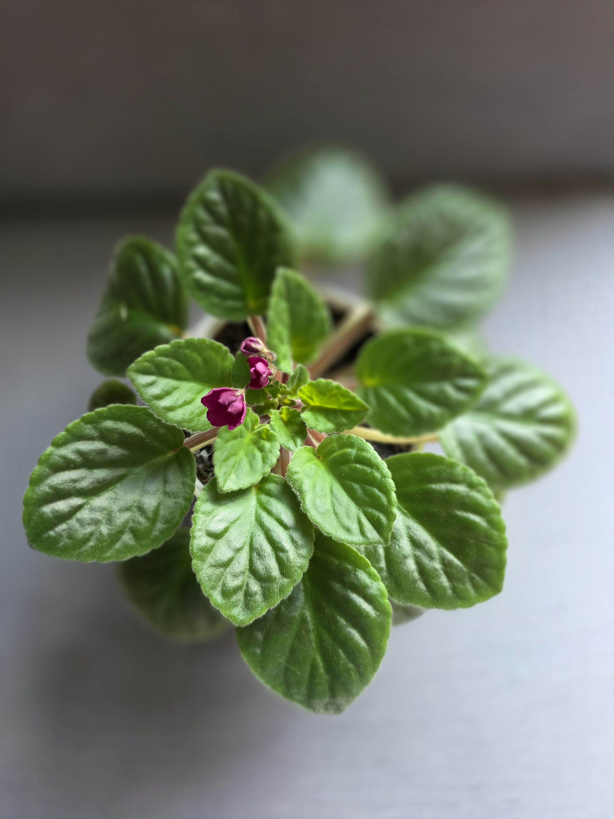 Photo from the post