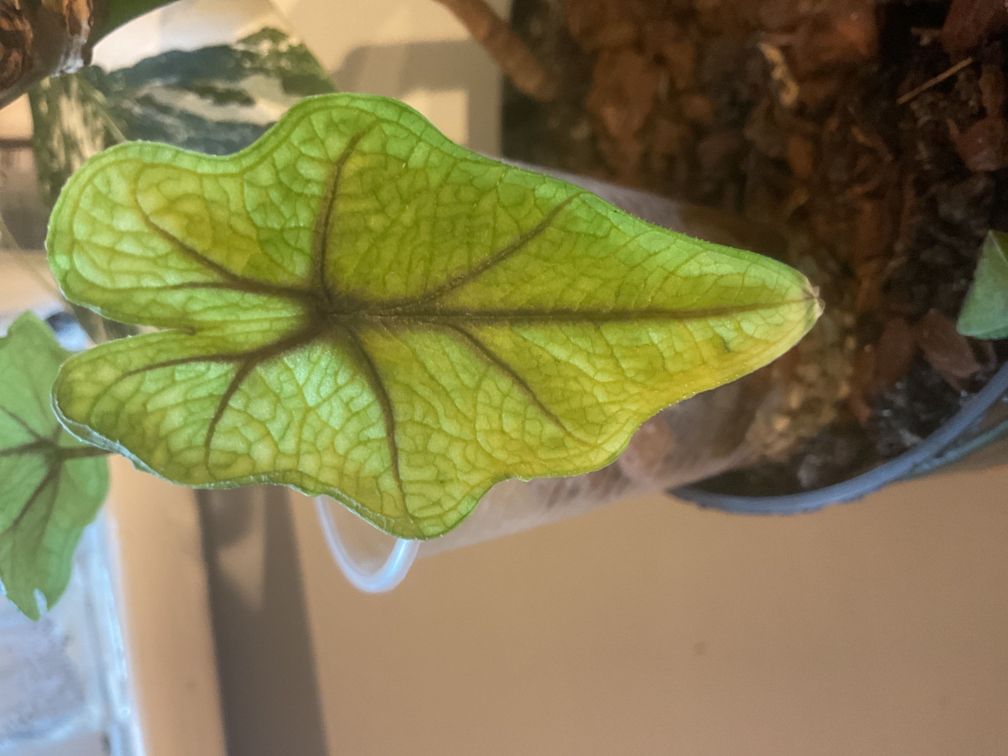 Photo from the post