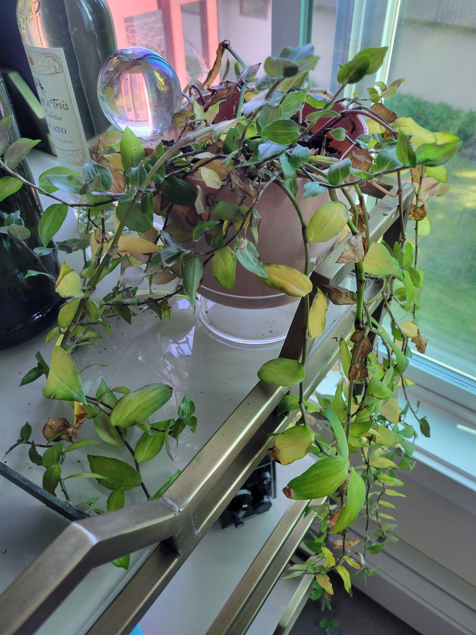 Photo from the post