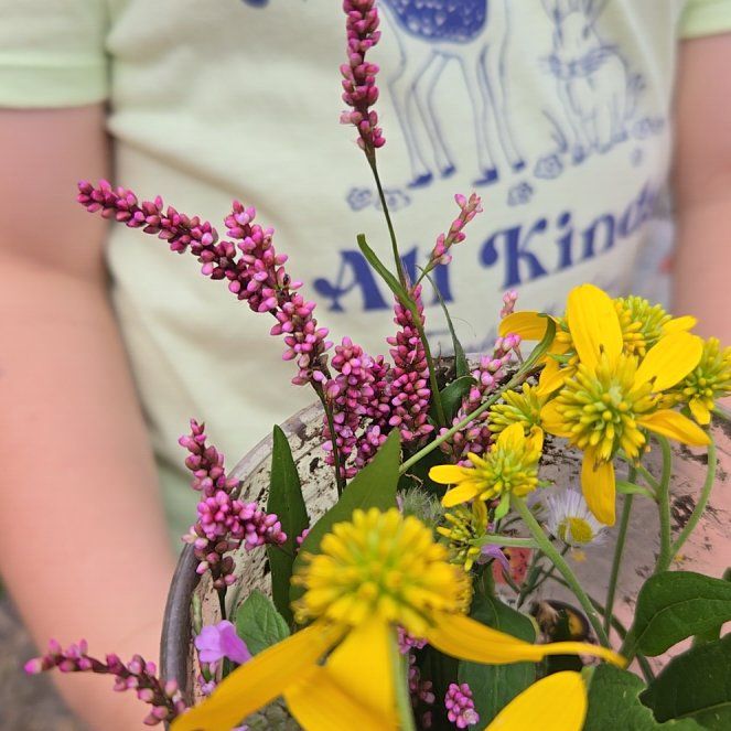 Photo of the plant species Willow Weed by @AceGabisan16 named Denali on Greg, the plant care app
