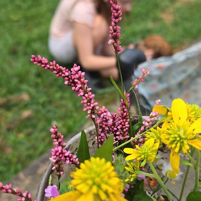 Photo of the plant species Spotted Ladysthumb by @AceGabisan16 named Shakira on Greg, the plant care app