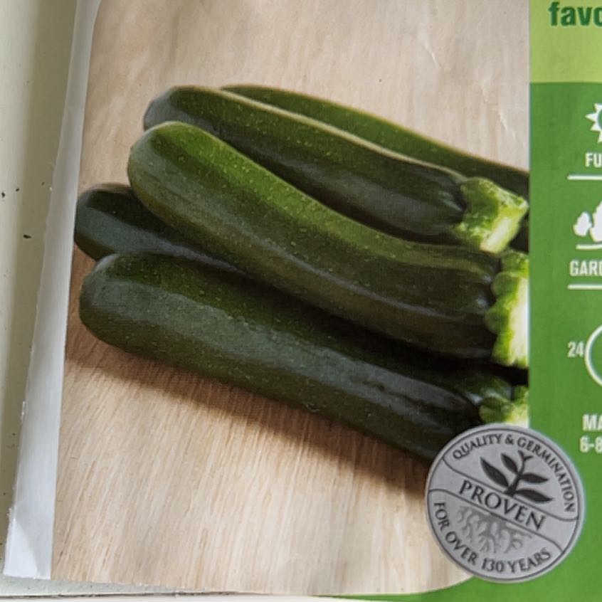 Photo of the plant species Blackjack Zucchini by @SassyLillypilly named Girlfrond on Greg, the plant care app