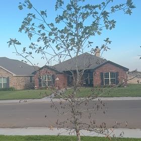 Photo of the plant species Tree Mallow by @MeekGoatweed99 named Darwin on Greg, the plant care app