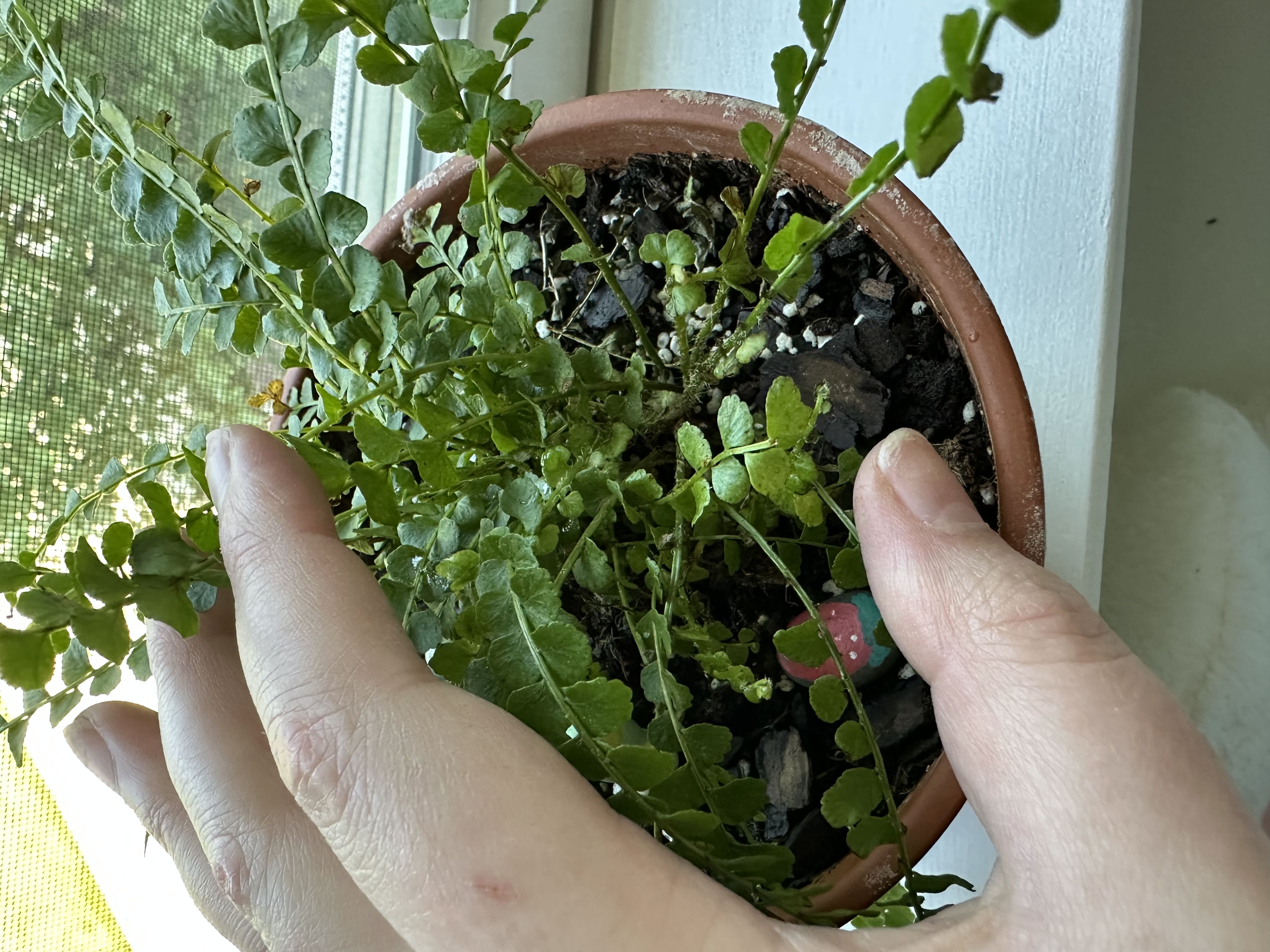Photo from the post