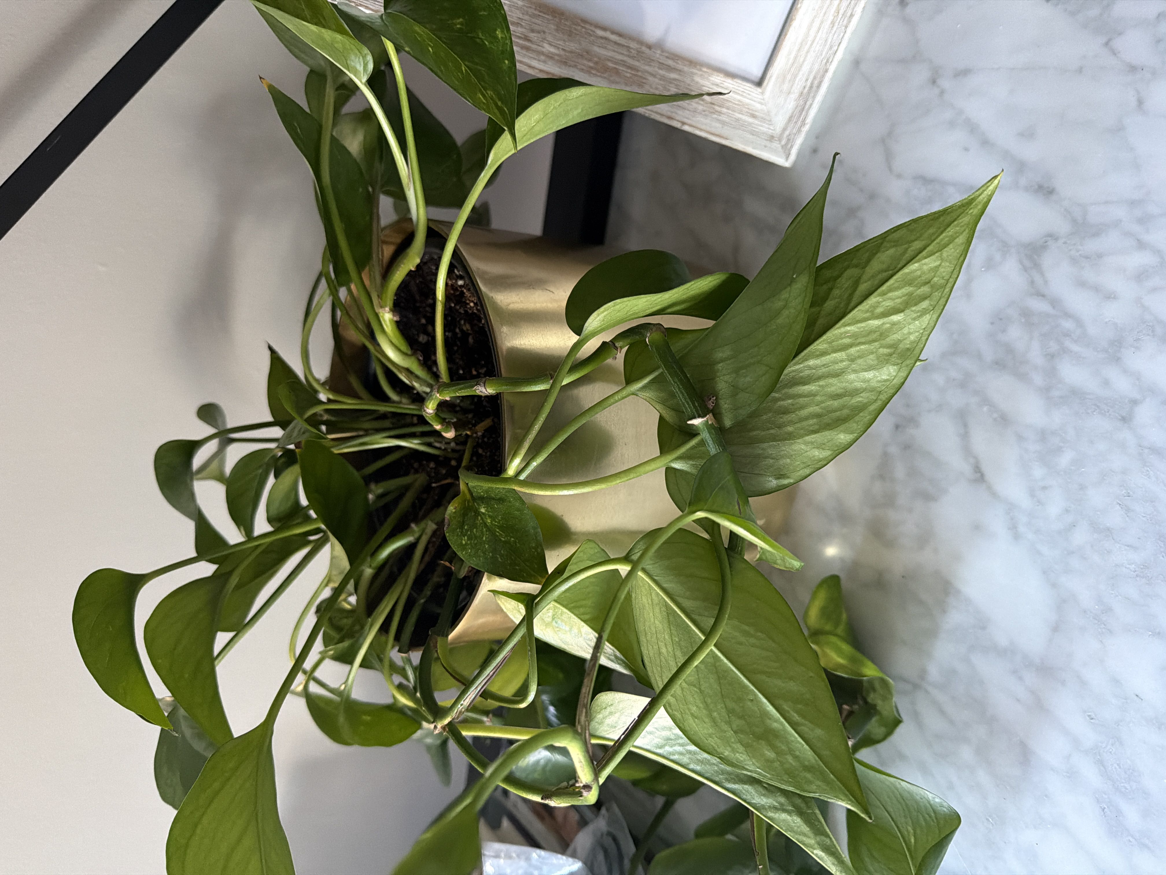 Photo from the post