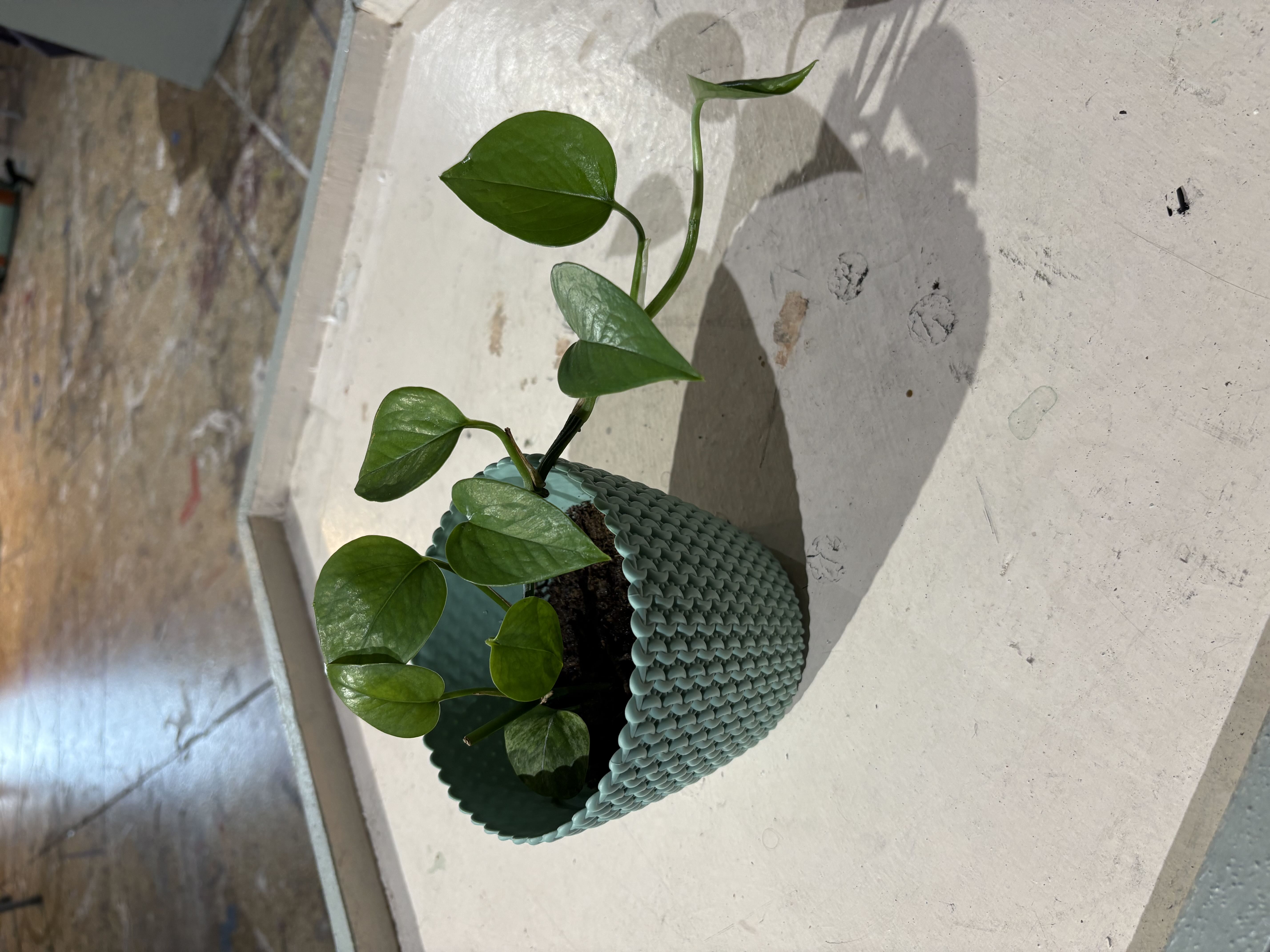Photo from the post