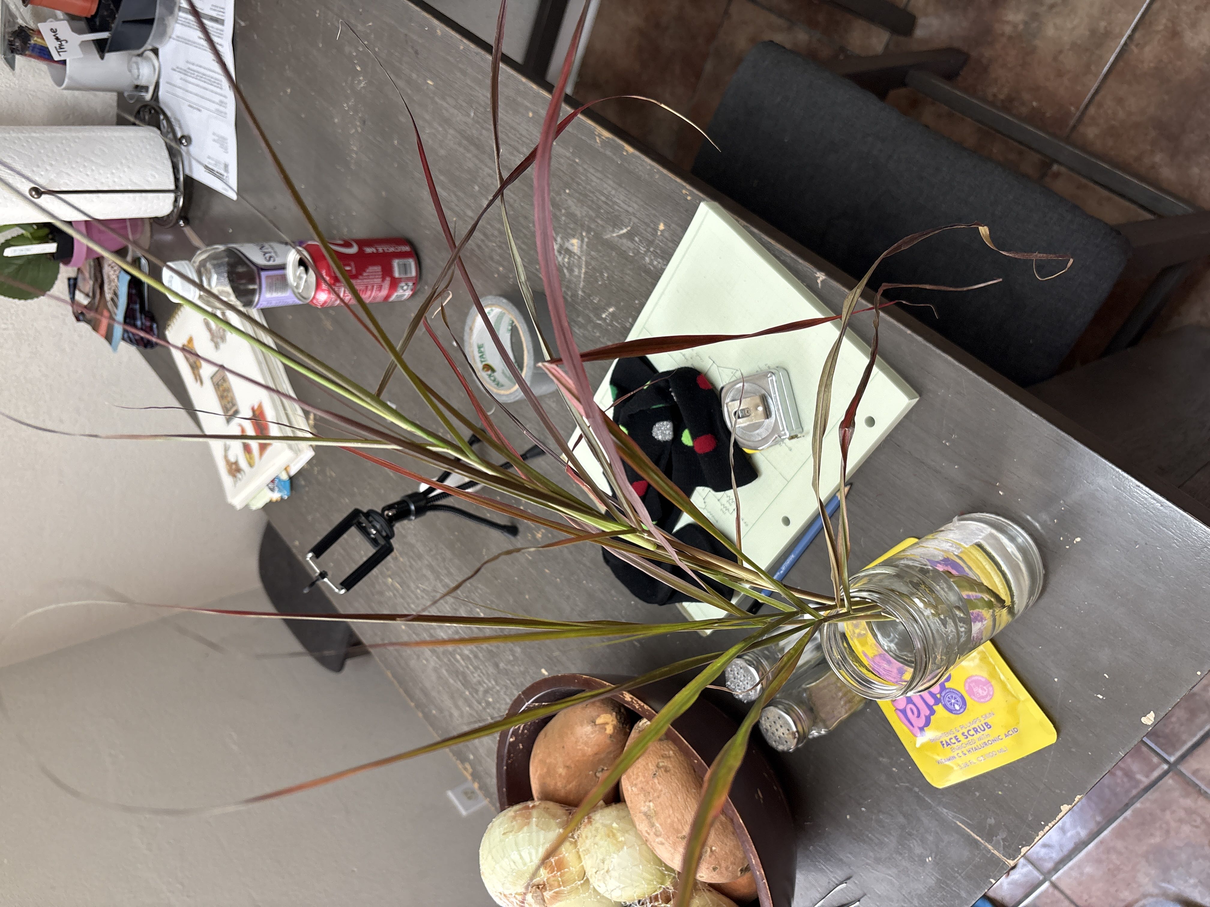 Photo from the post