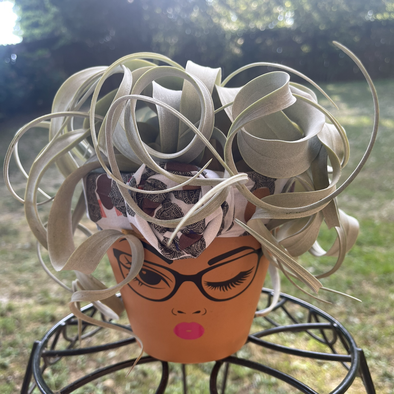 Tillandsia Xerographica plant in a decorative pot with a face design.