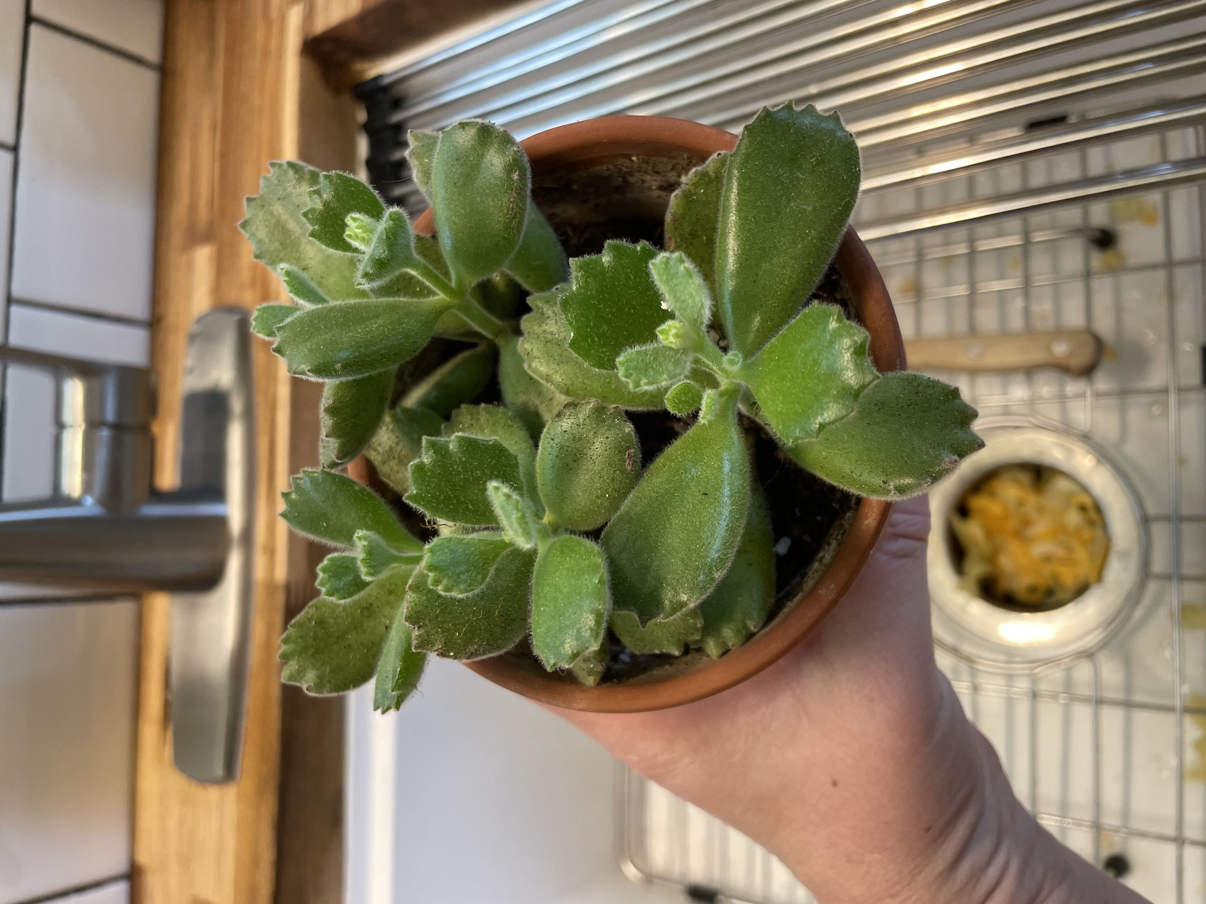 Photo from the post