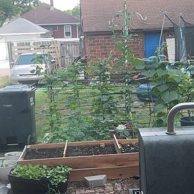 Photo of the plant species Orange Eye by @RelaxedMayten14 named Rosa on Greg, the plant care app