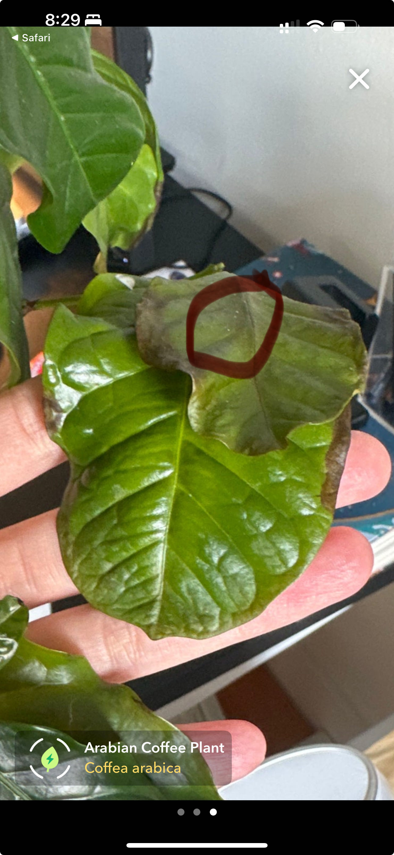 Photo from the post