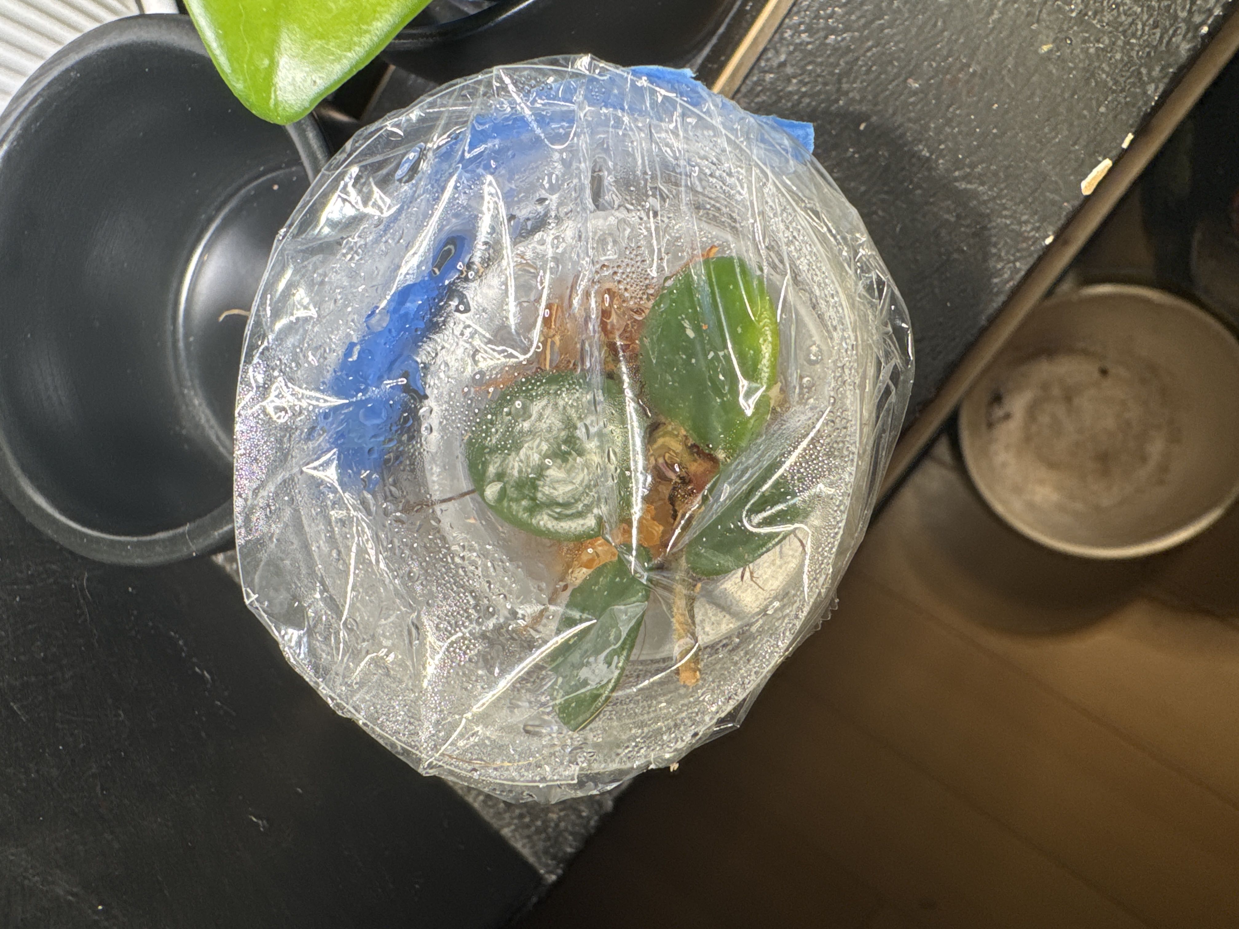 Photo from the post