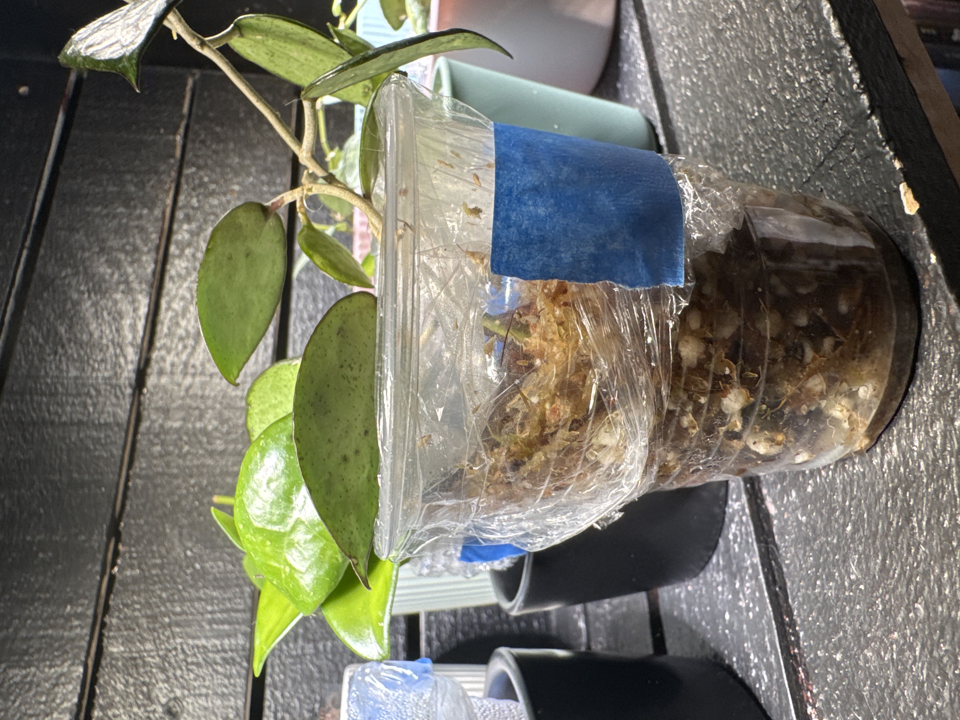 Photo from the post