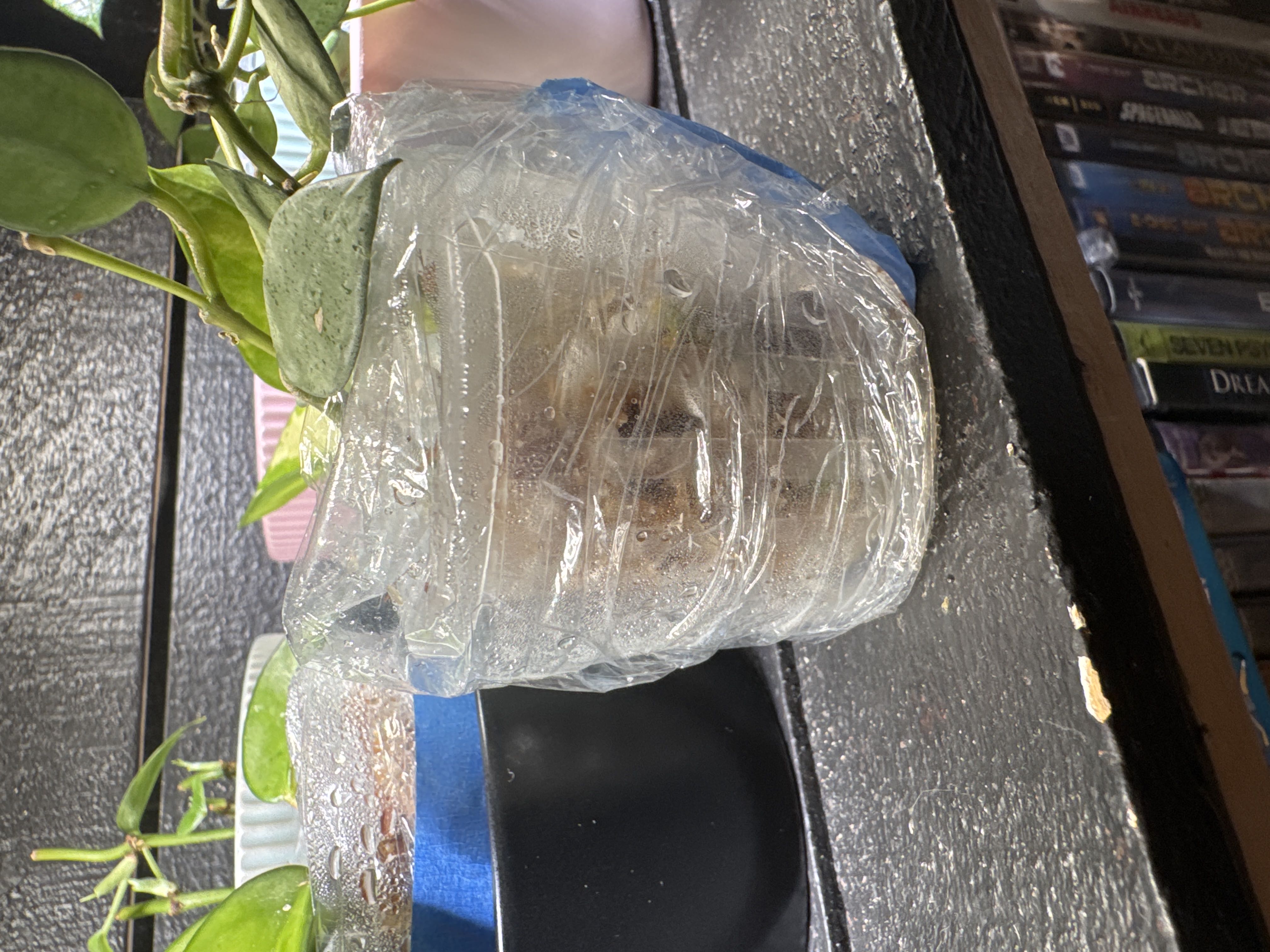 Photo from the post