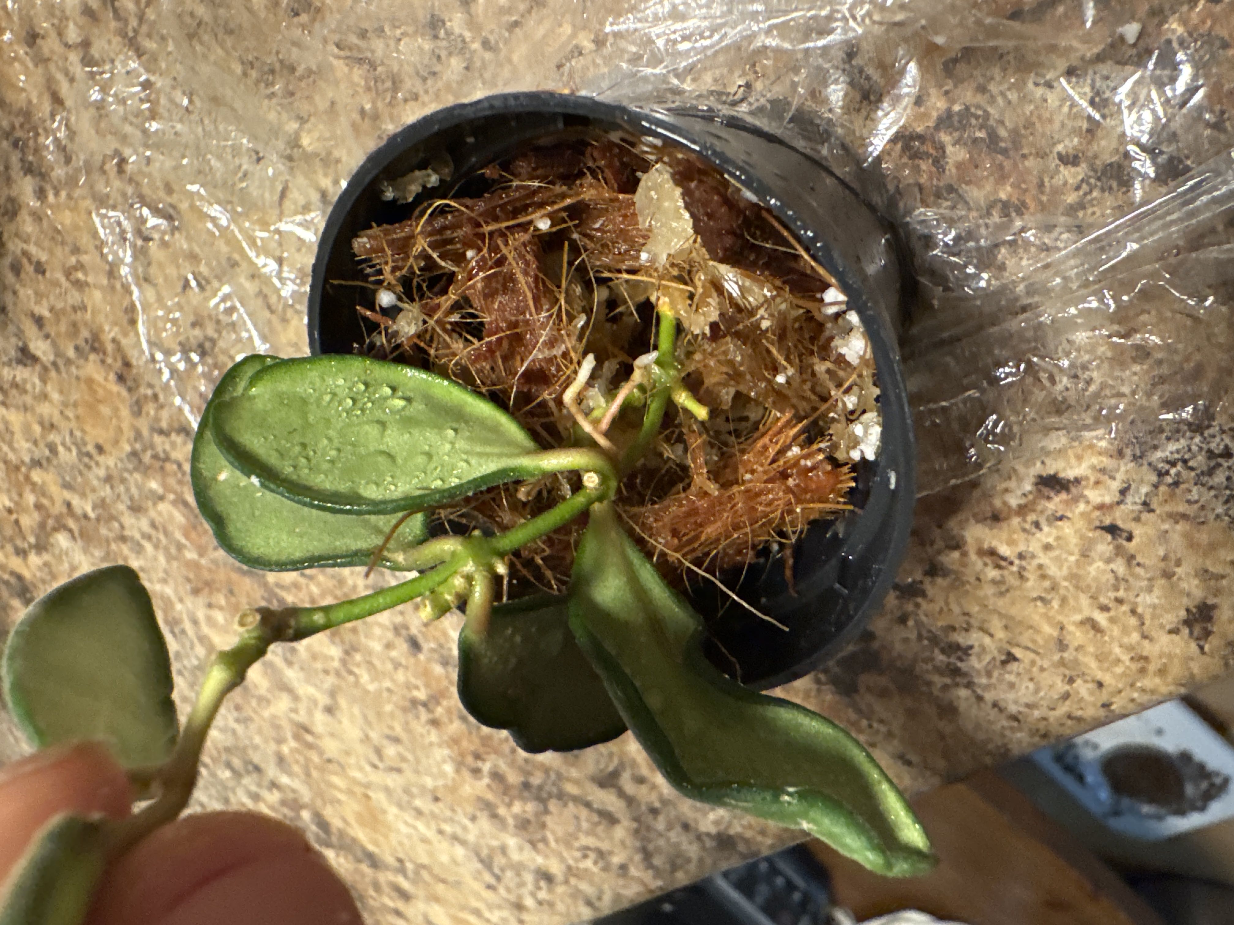 Photo from the post