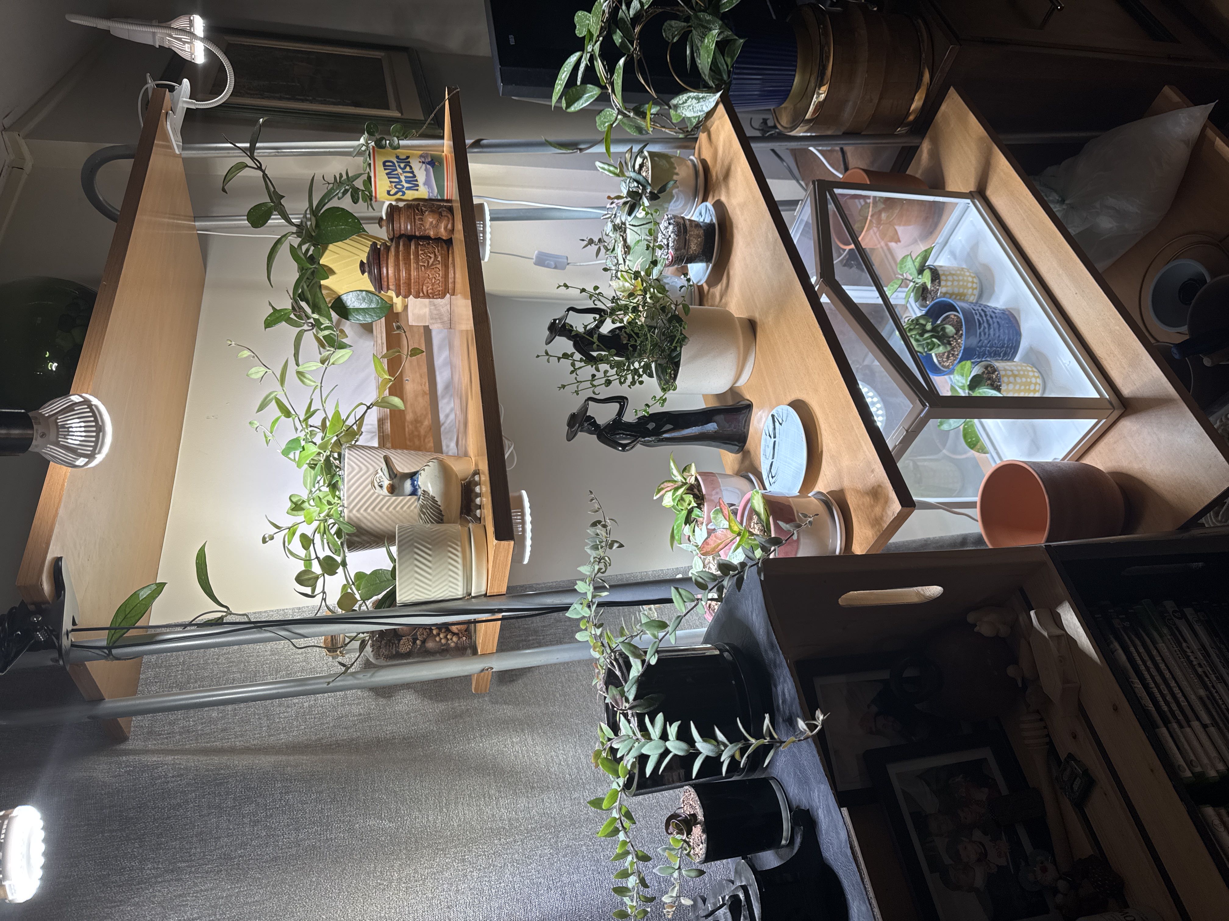 Photo from the post