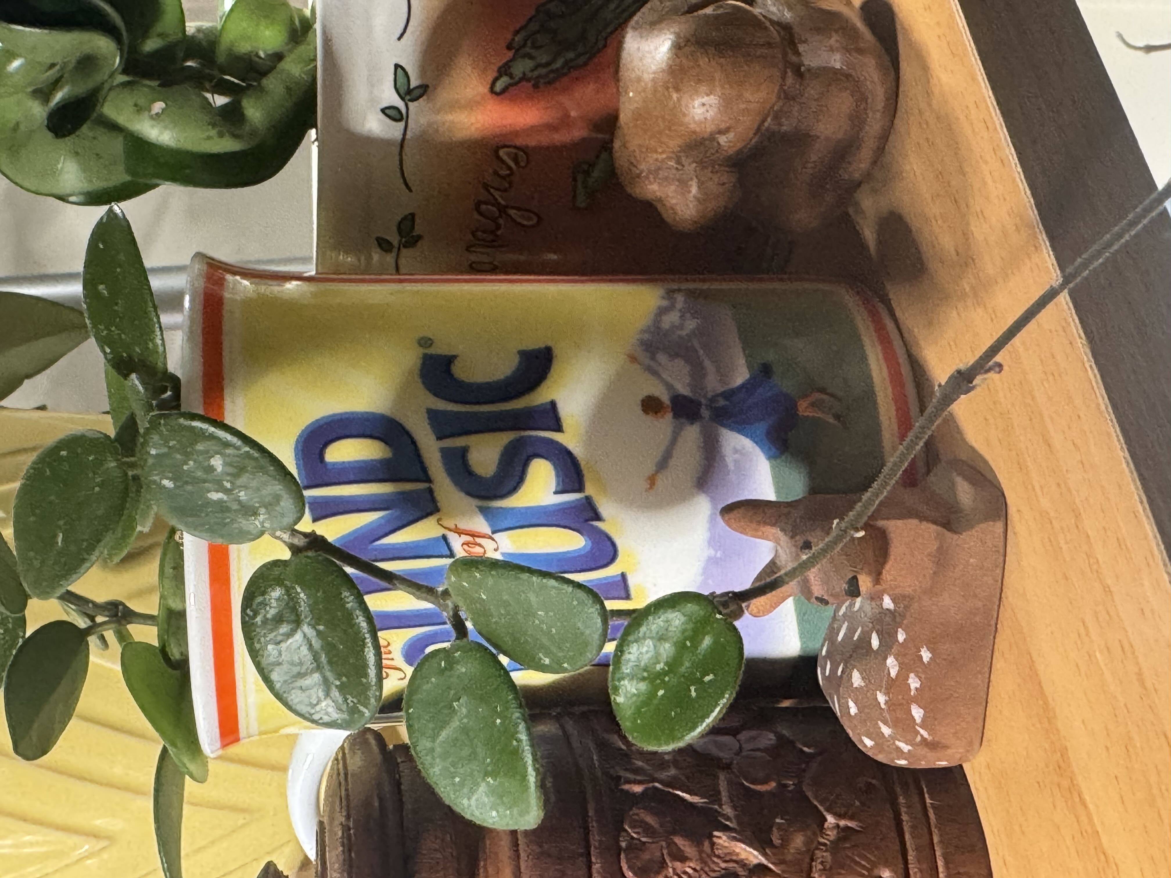 Photo from the post