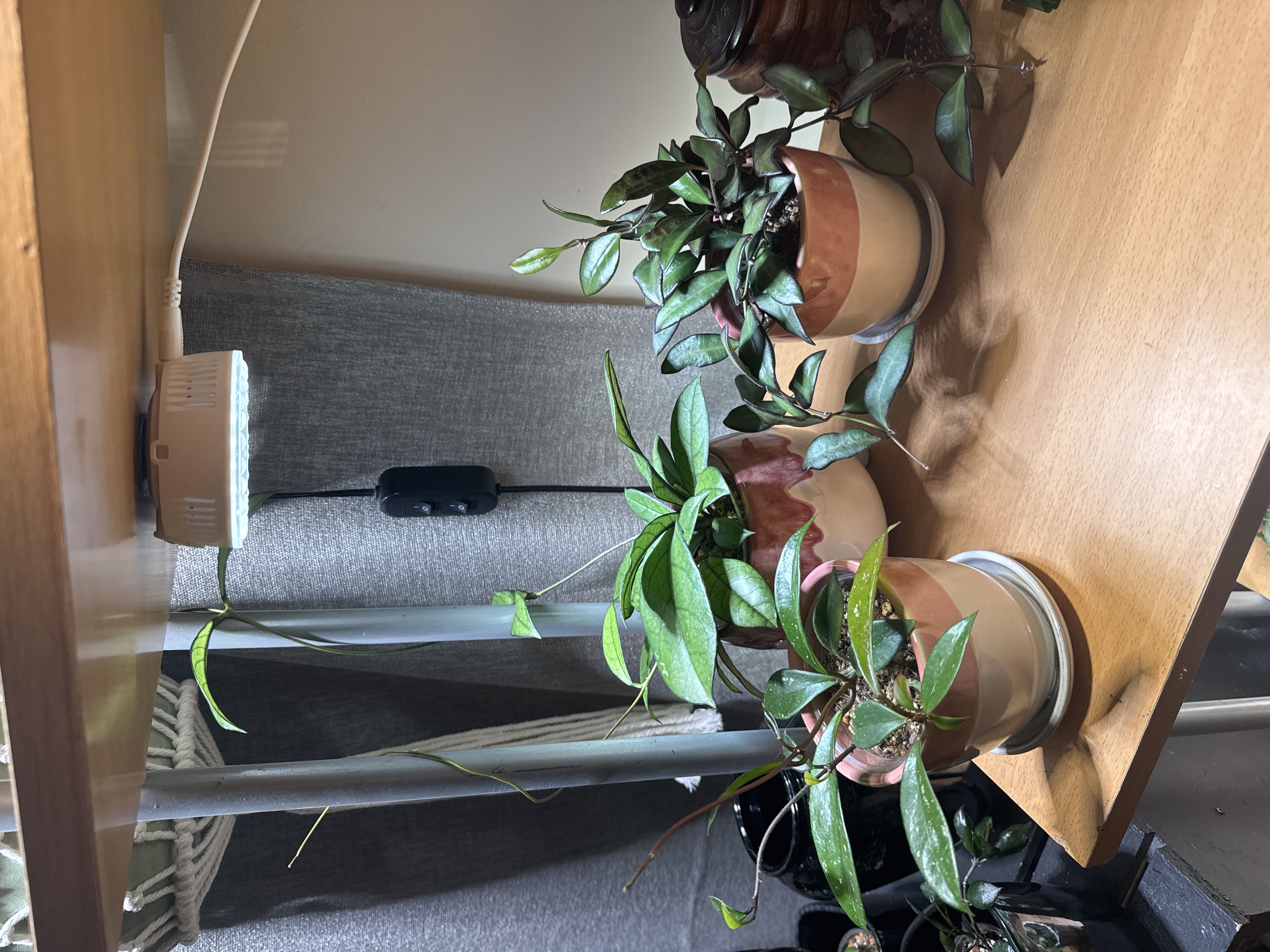 Photo from the post