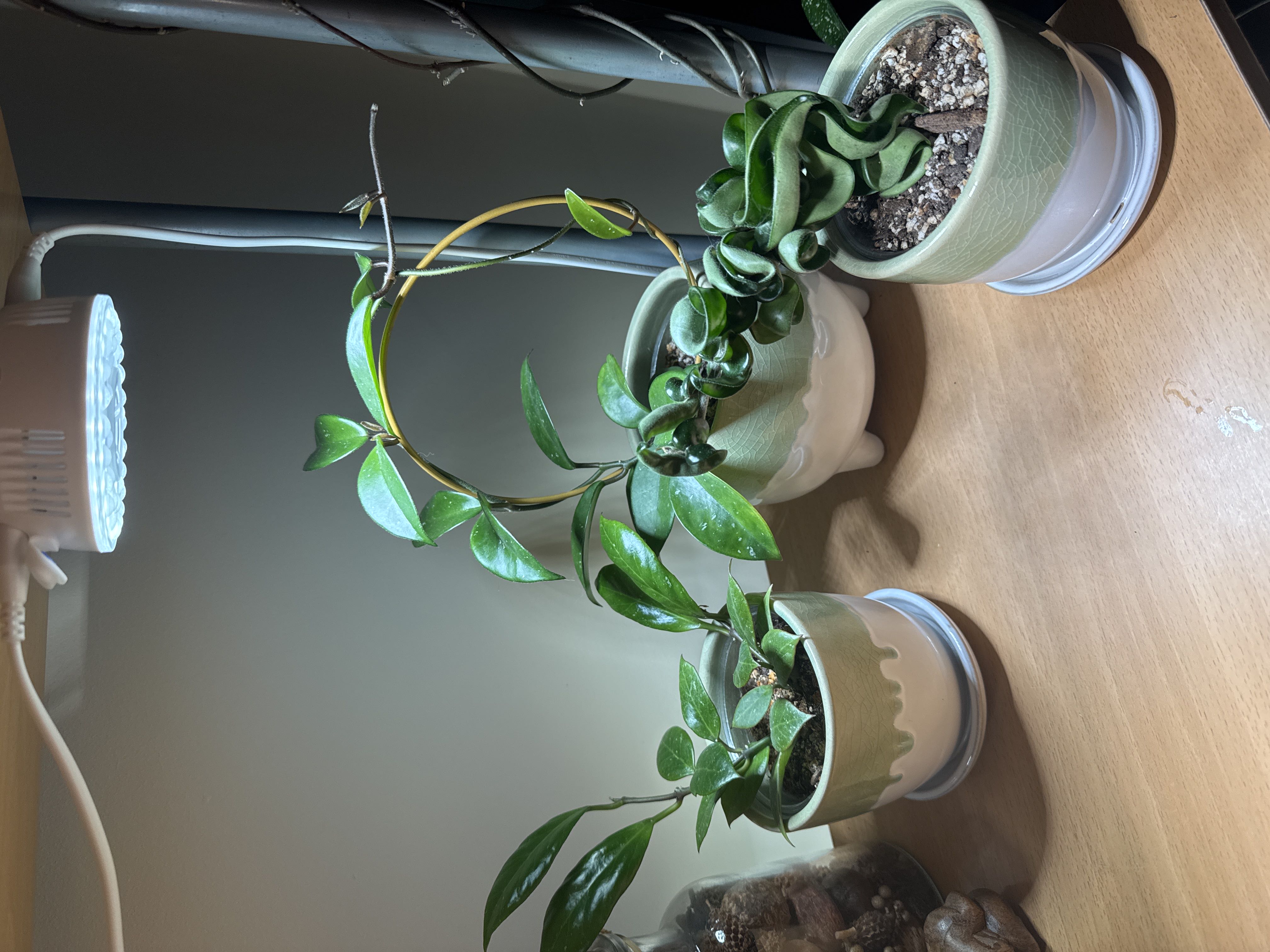 Photo from the post
