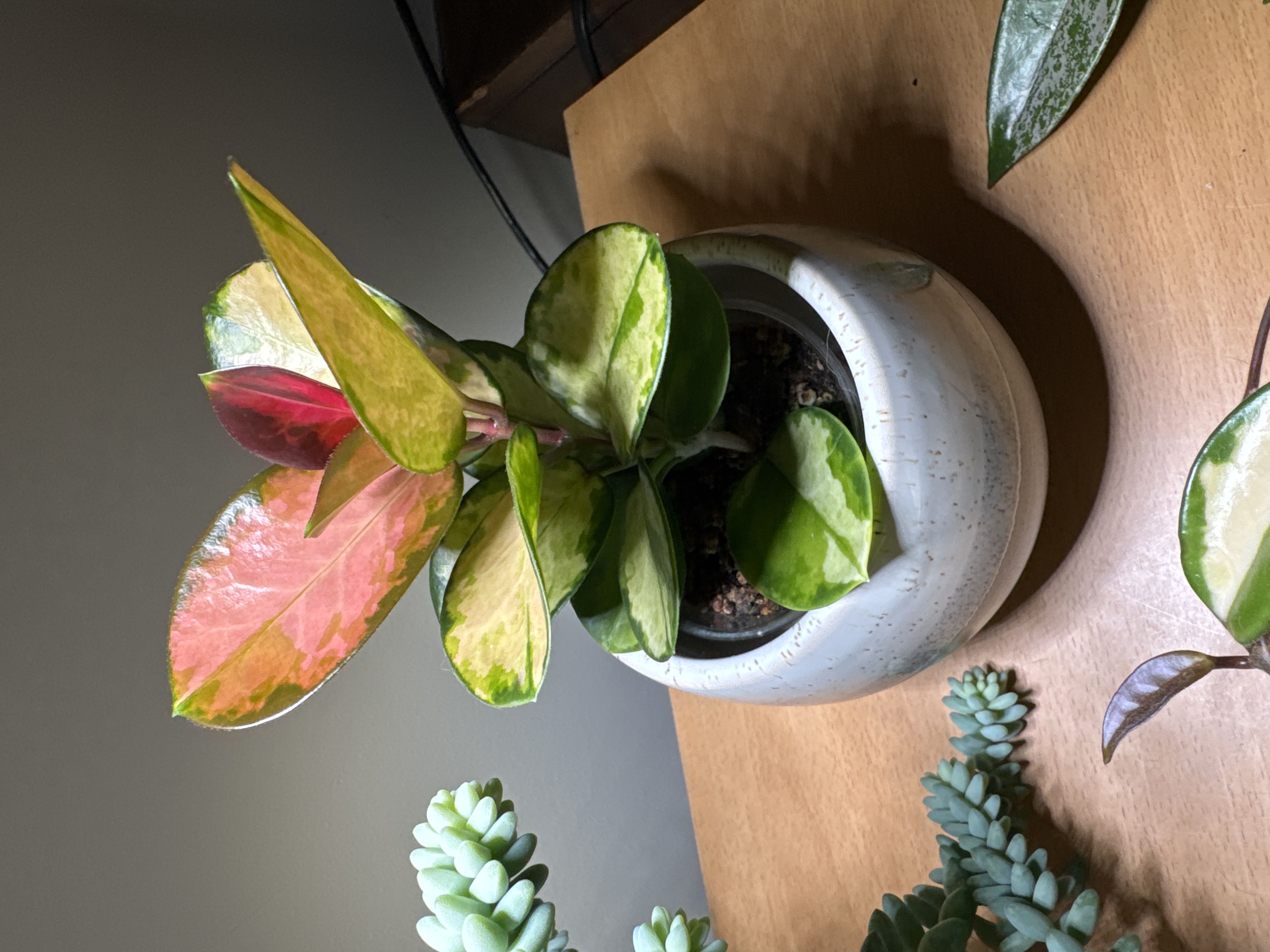 Photo from the post